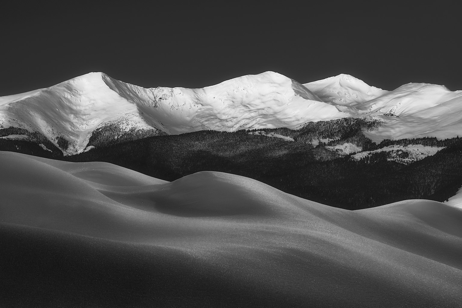 nature, landscape, winter, snow, trees, mountains, clear sky, forest, monochrome, HD Wallpaper