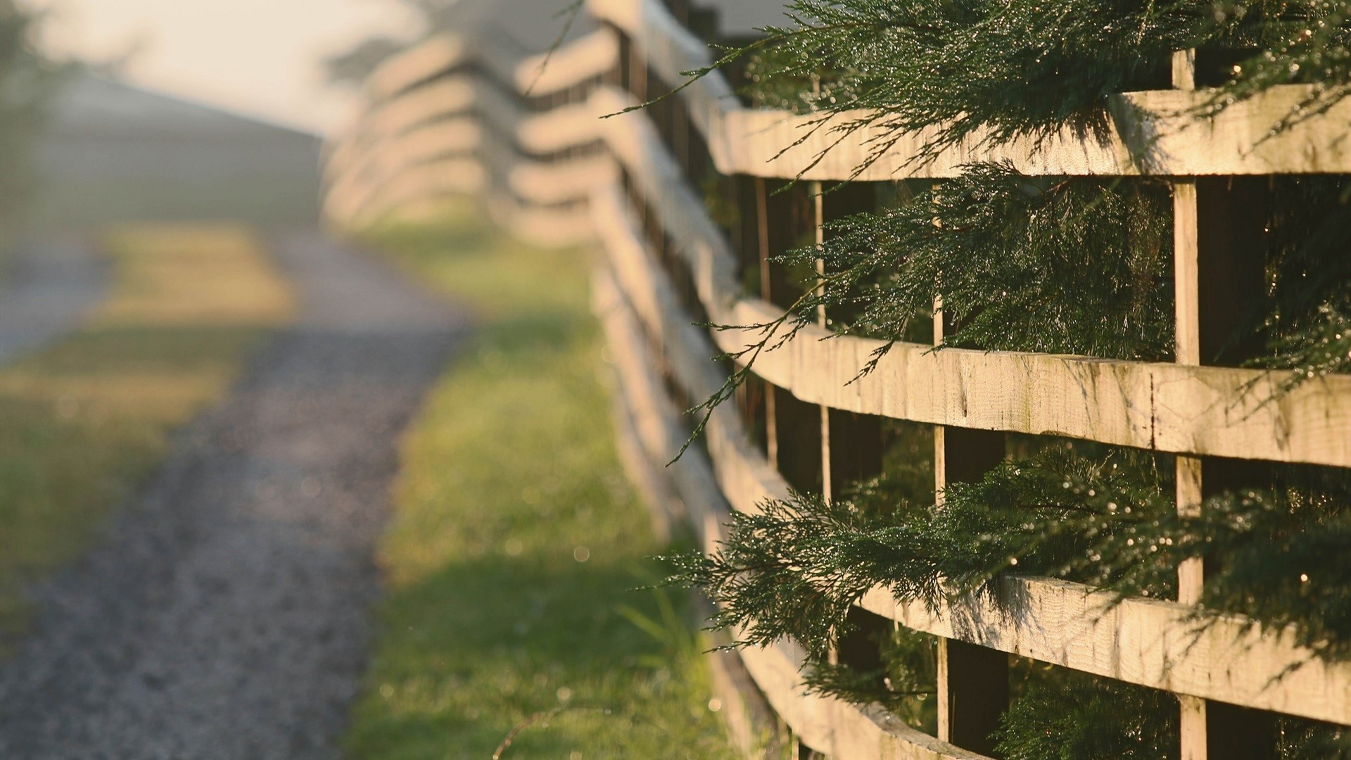 fence, nature, daylight, grass, path, HD Wallpaper