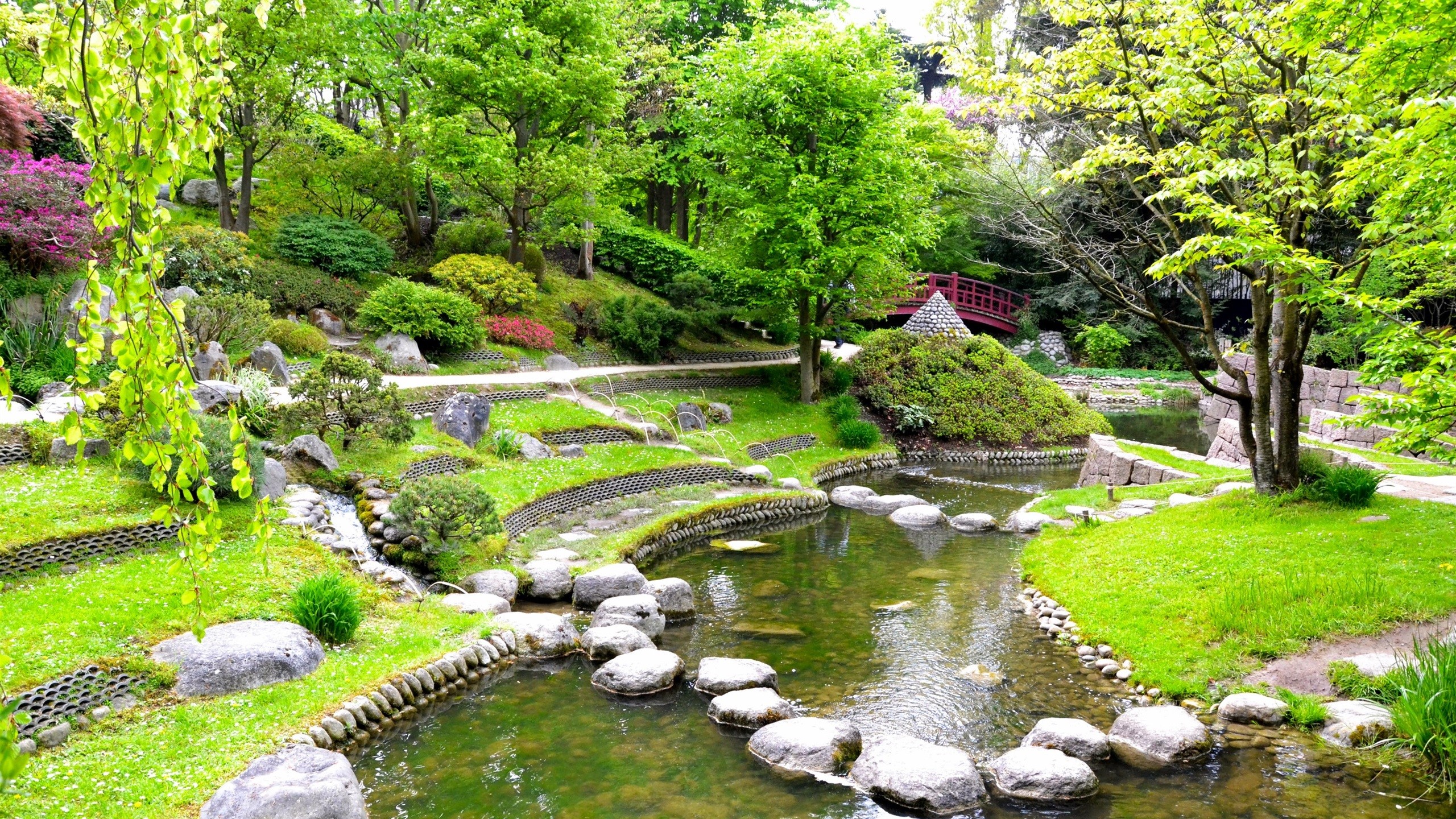nature, stream, stones, trees, grass, plants, HD Wallpaper