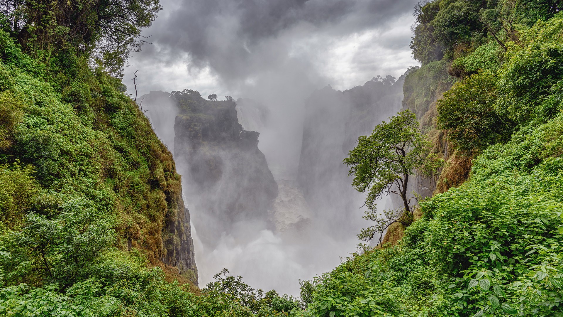 trees, forest, mountains, valley, clouds, Victoria Falls, Zambia, HD Wallpaper