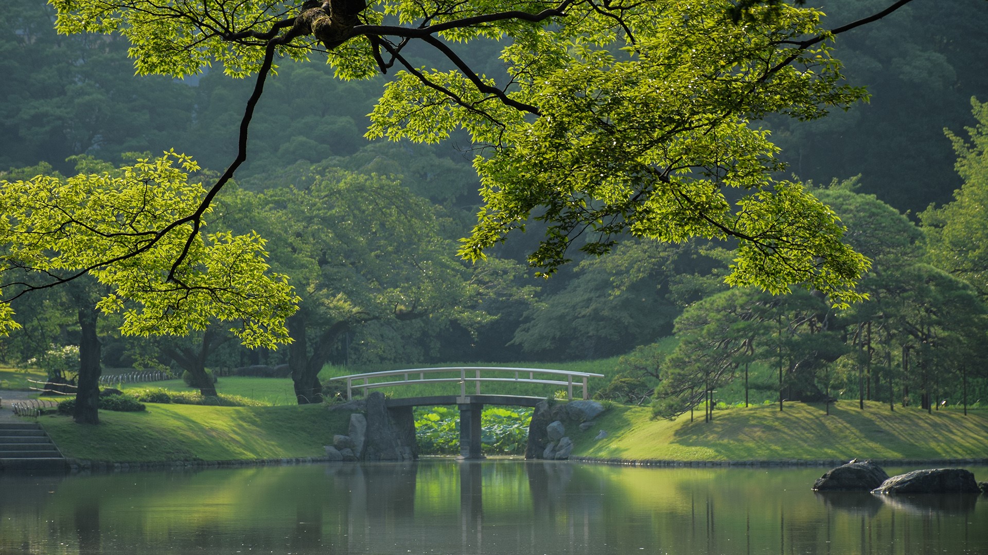 trees, stairs, bridge, leaves, grass, lake, forest, reflection, Japan, Tokyo, HD Wallpaper