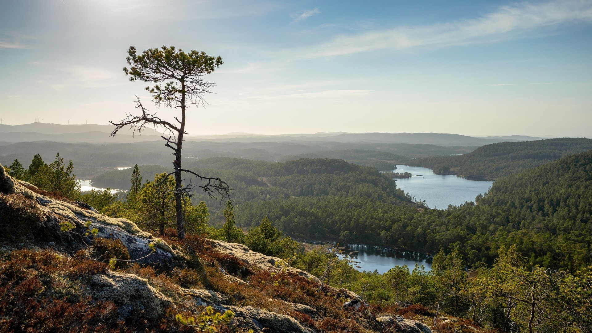 landscape, nature, river, forest, stones, sky, clouds, trees, plants, HD Wallpaper