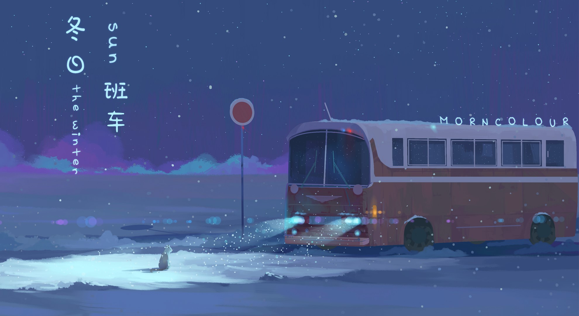 buses, cats, night, night sky, HD Wallpaper