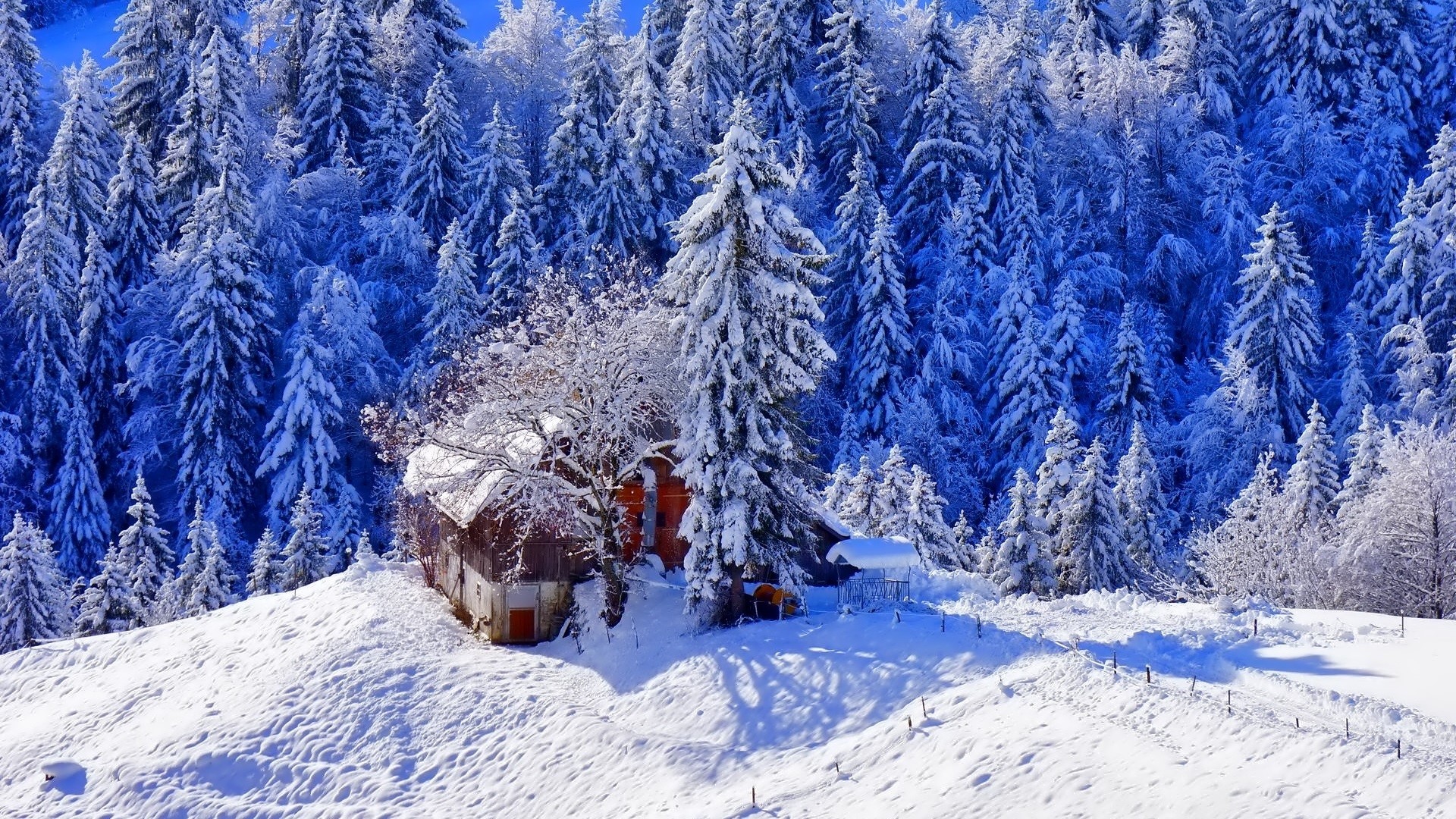 winter, snow, trees, forest, nature, house, HD Wallpaper