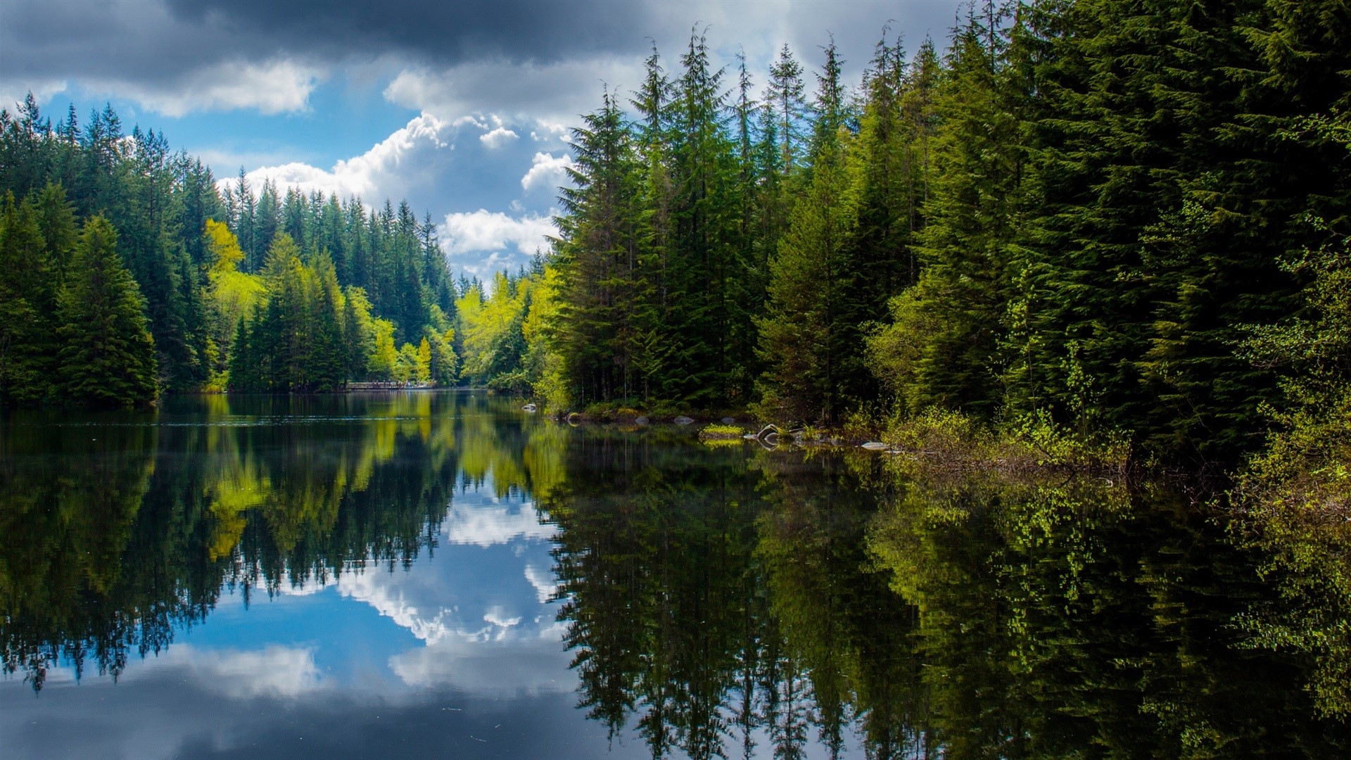 Canada, trees, nature, forest, clouds, sky, lake, plants, landscape, HD Wallpaper