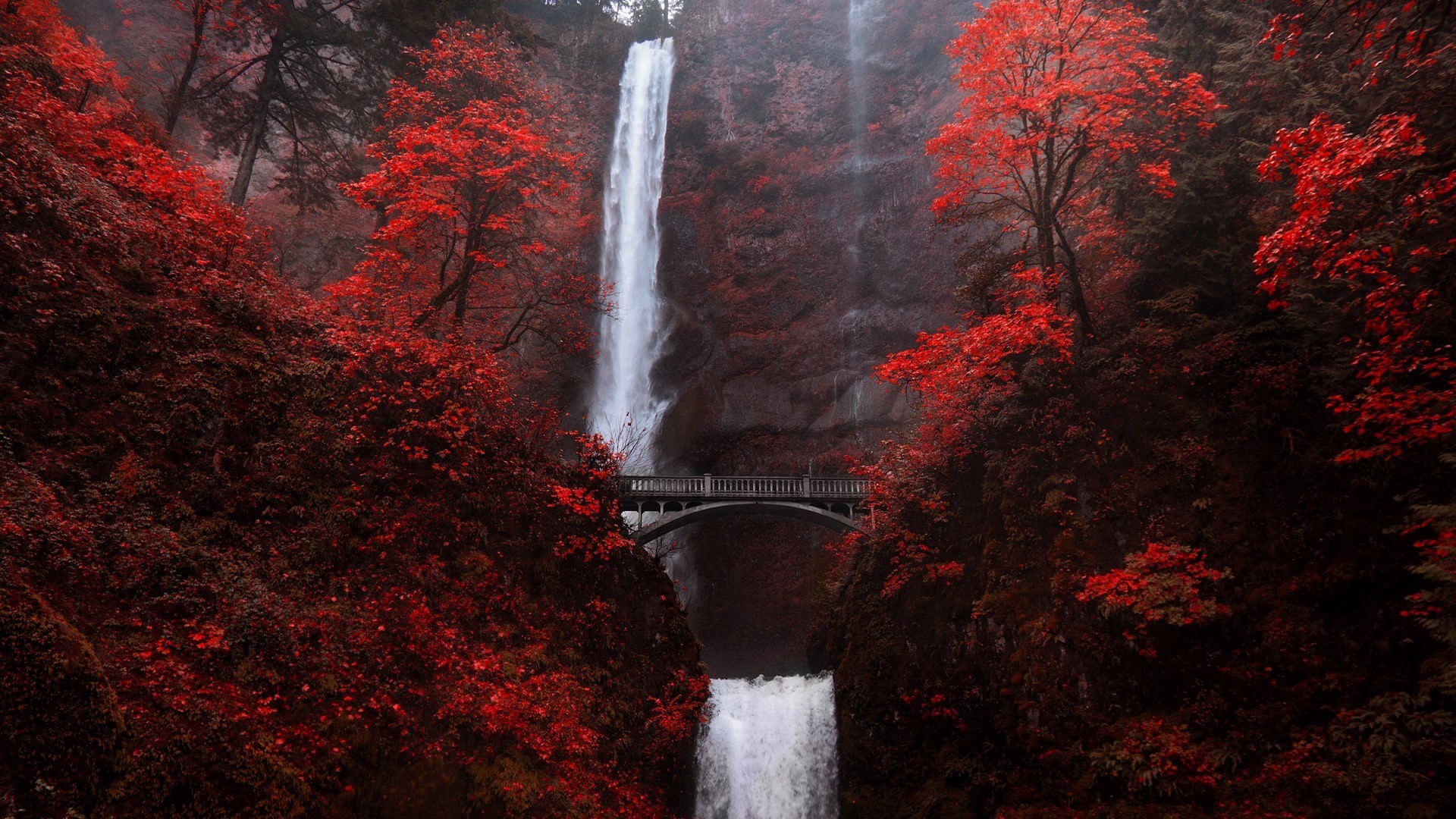 trees, fall, bridge, mountains, plants, rocks, water, waterfall, Multnomah Falls, Oregon, USA, HD Wallpaper