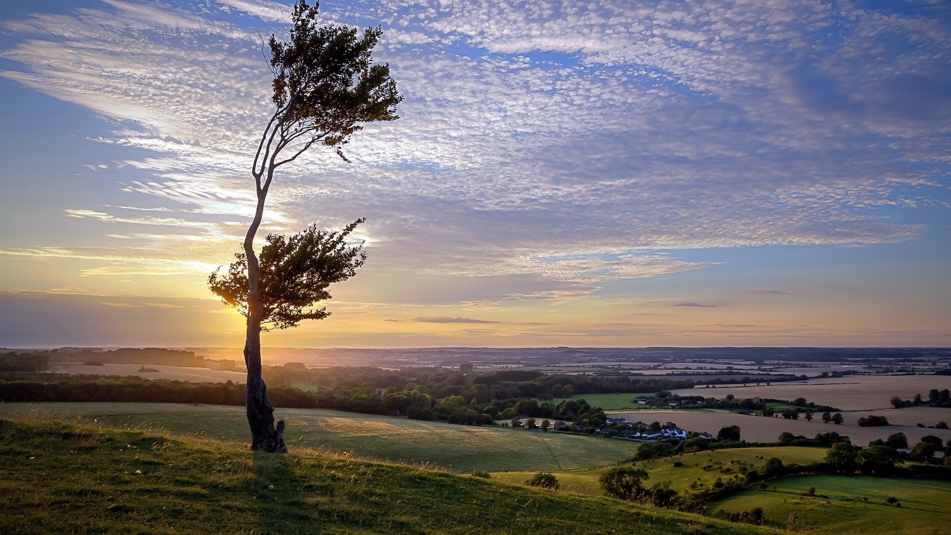 landscape, sunrise, nature, clouds, sky, trees, field, HD Wallpaper