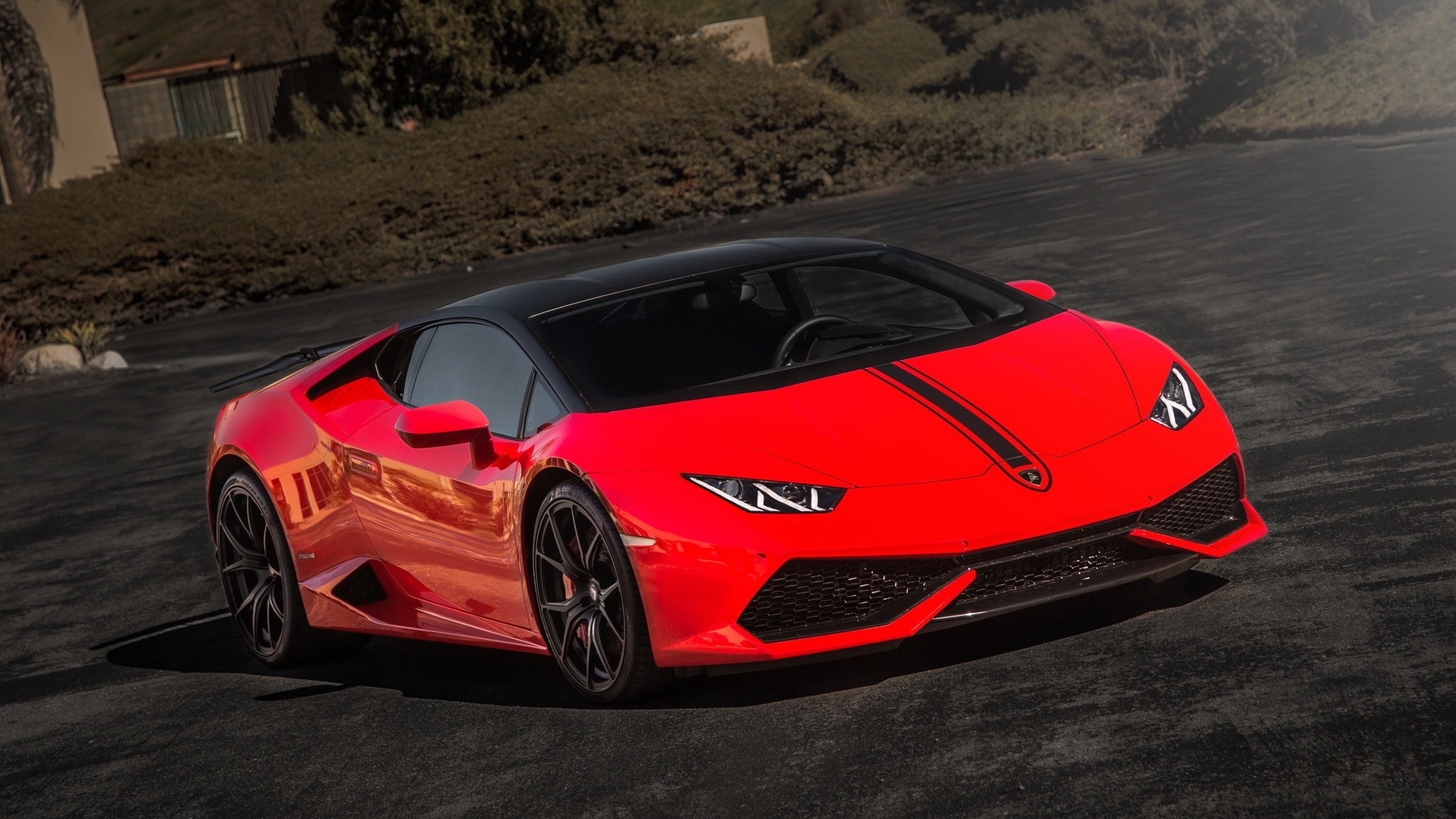 Lamborghini, red cars, road, supercars, vehicle, HD Wallpaper