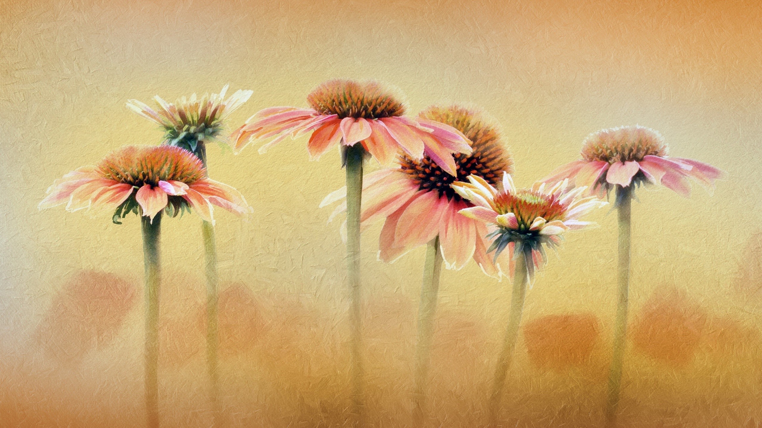 flowers, artwork, plants, colorful, HD Wallpaper
