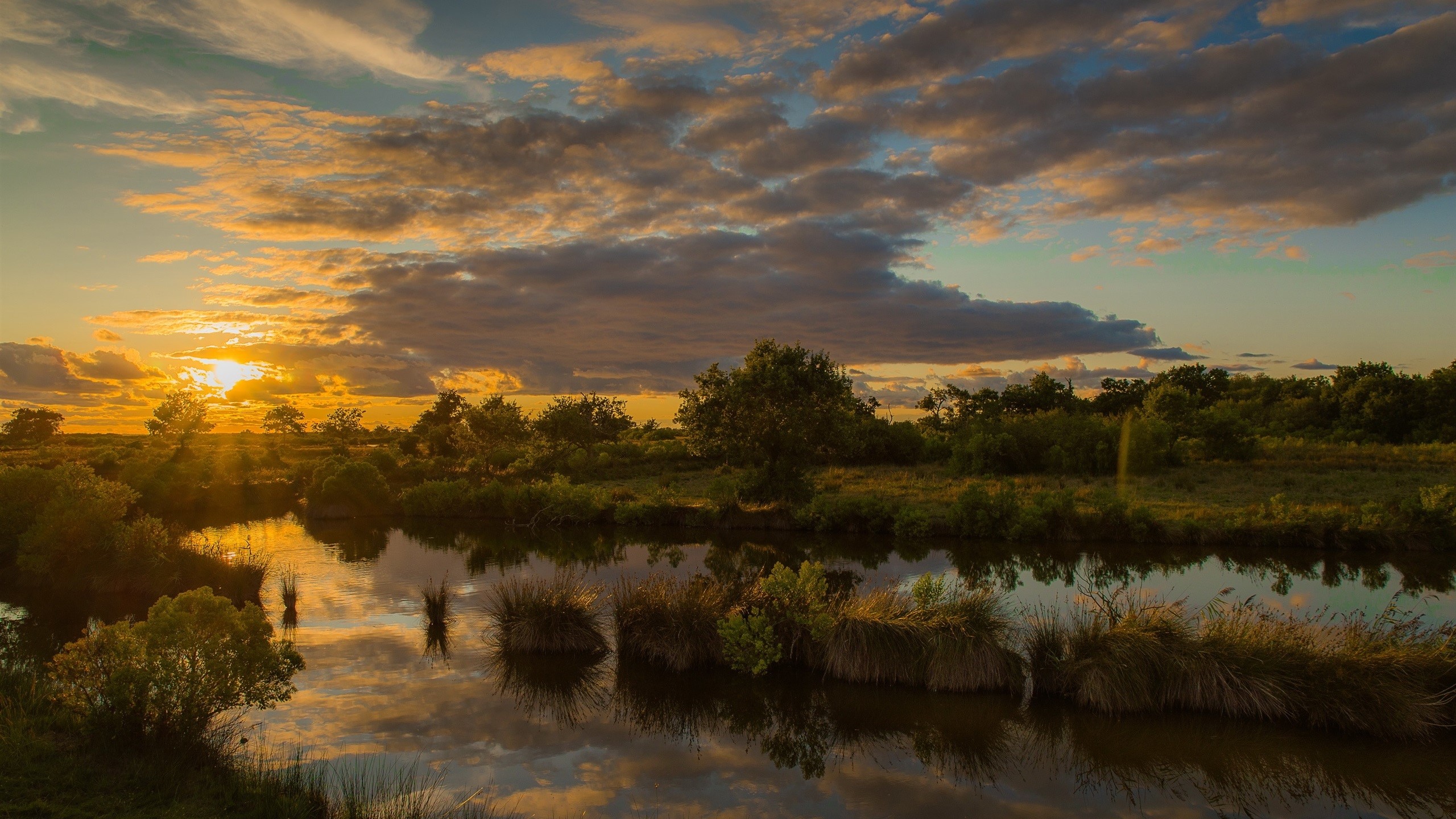 river, water, plants, sunset, clouds, sky blue, nature, landscape, HD Wallpaper