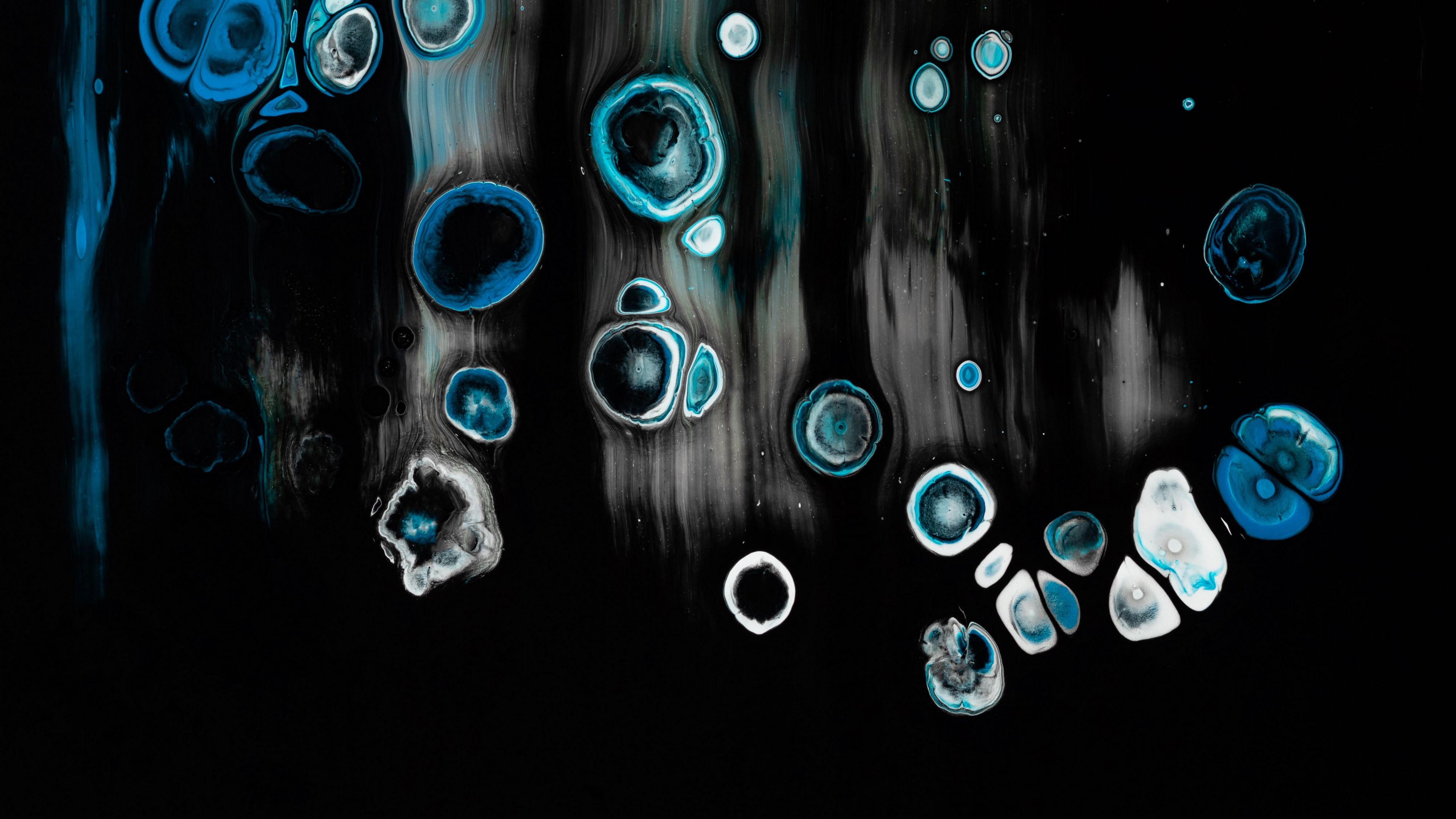 paint, circles, dark, blue, black, 4k, HD Wallpaper