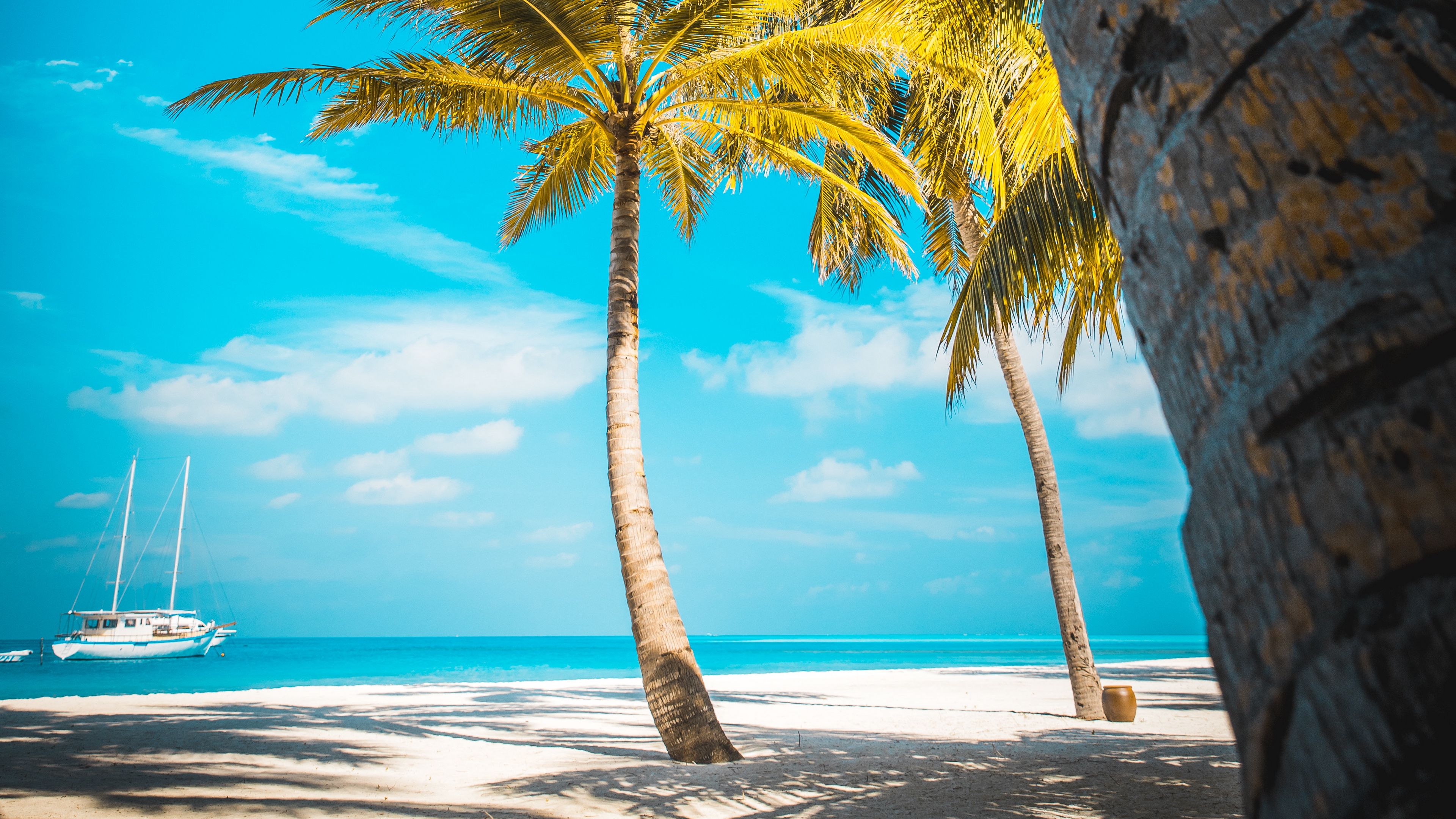 palm trees, beach, sand, tropics, paradise, 4k, HD Wallpaper