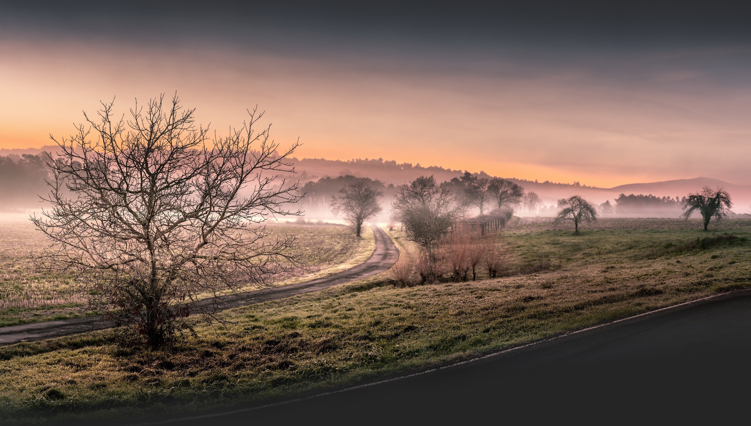 landscape, road, sky, mist, trees, HD Wallpaper