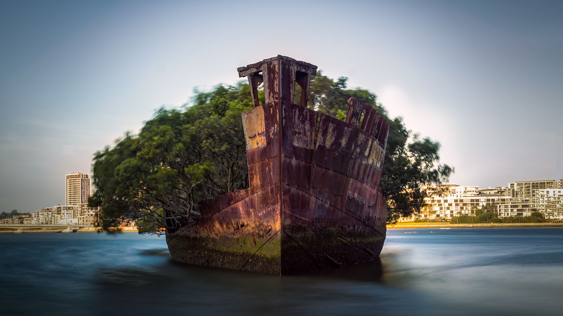 trees, Sydney, Australia, shipwreck, long exposure, coral reef, Homebush Bay, HD Wallpaper