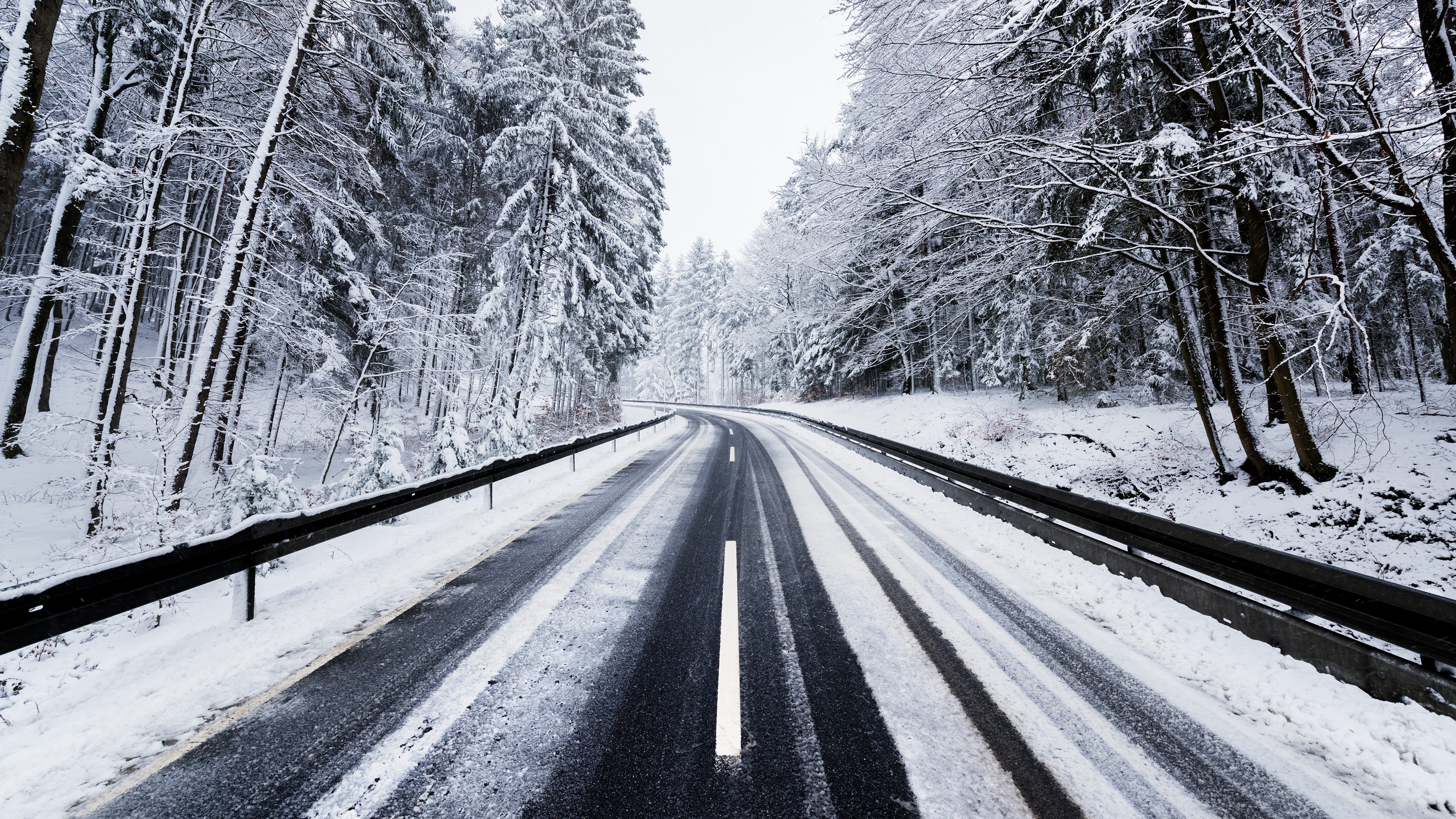 winter, snow, forest, trees, road, HD Wallpaper