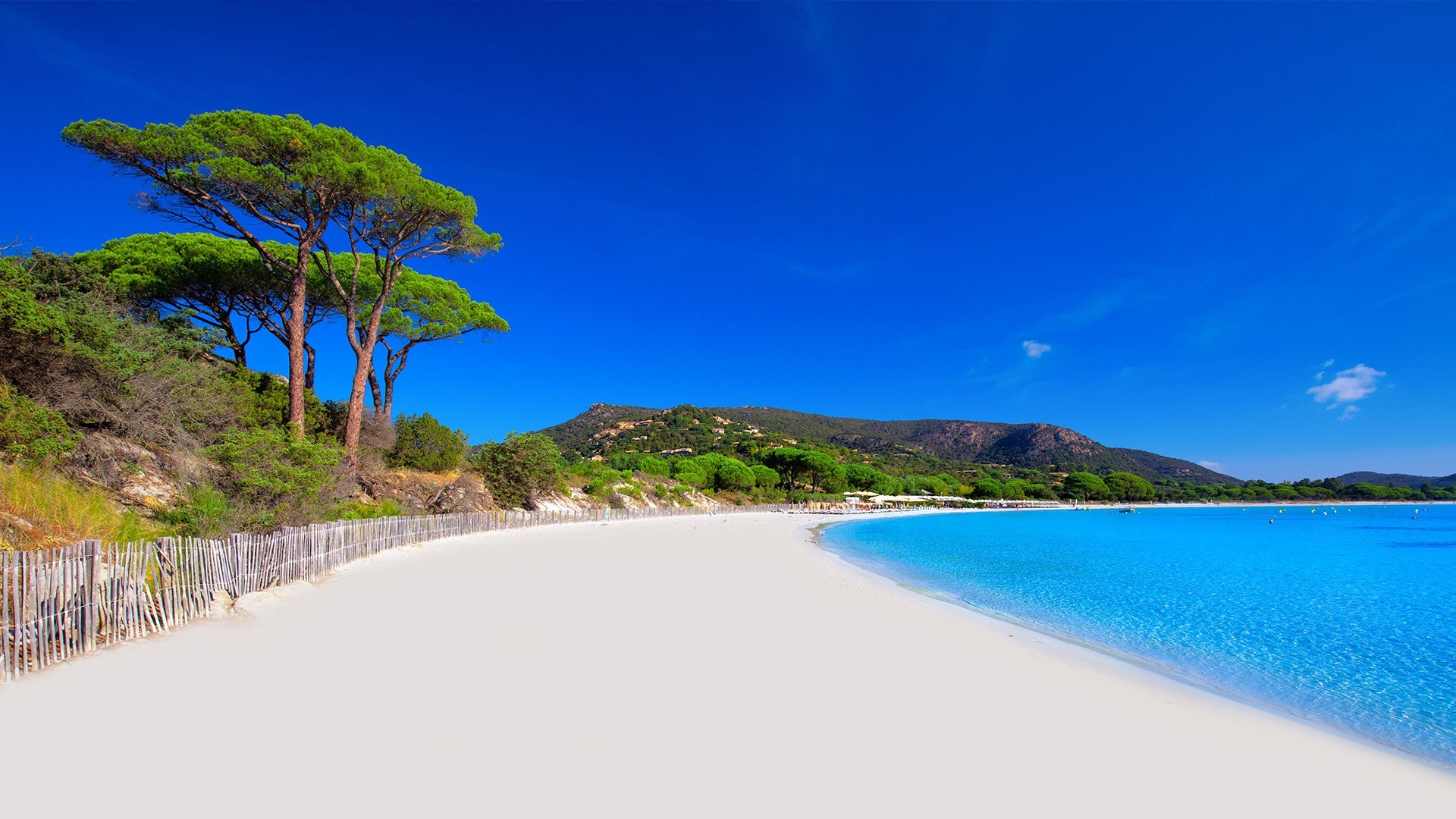 nature, landscape, sand, water, trees, coast, clear sky, Corsica, France, HD Wallpaper