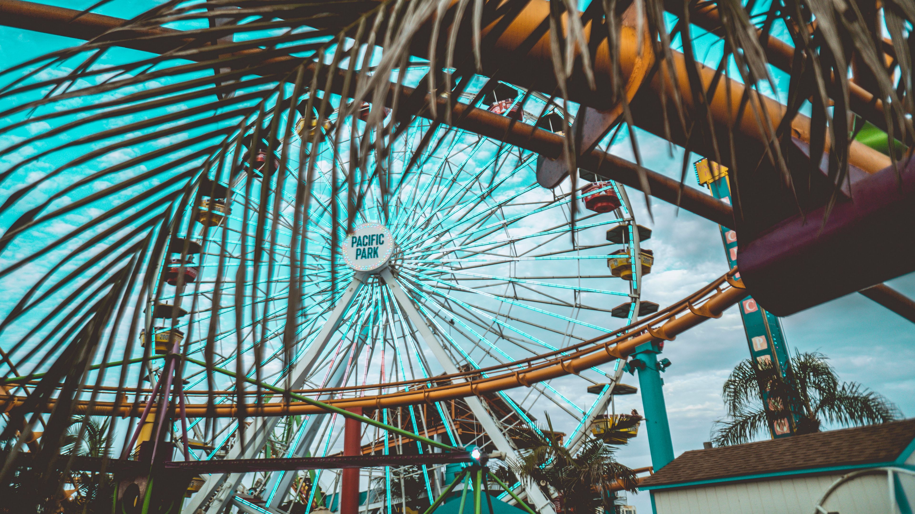 ferris wheel, attraction, palm tree, leaves, 4k, HD Wallpaper
