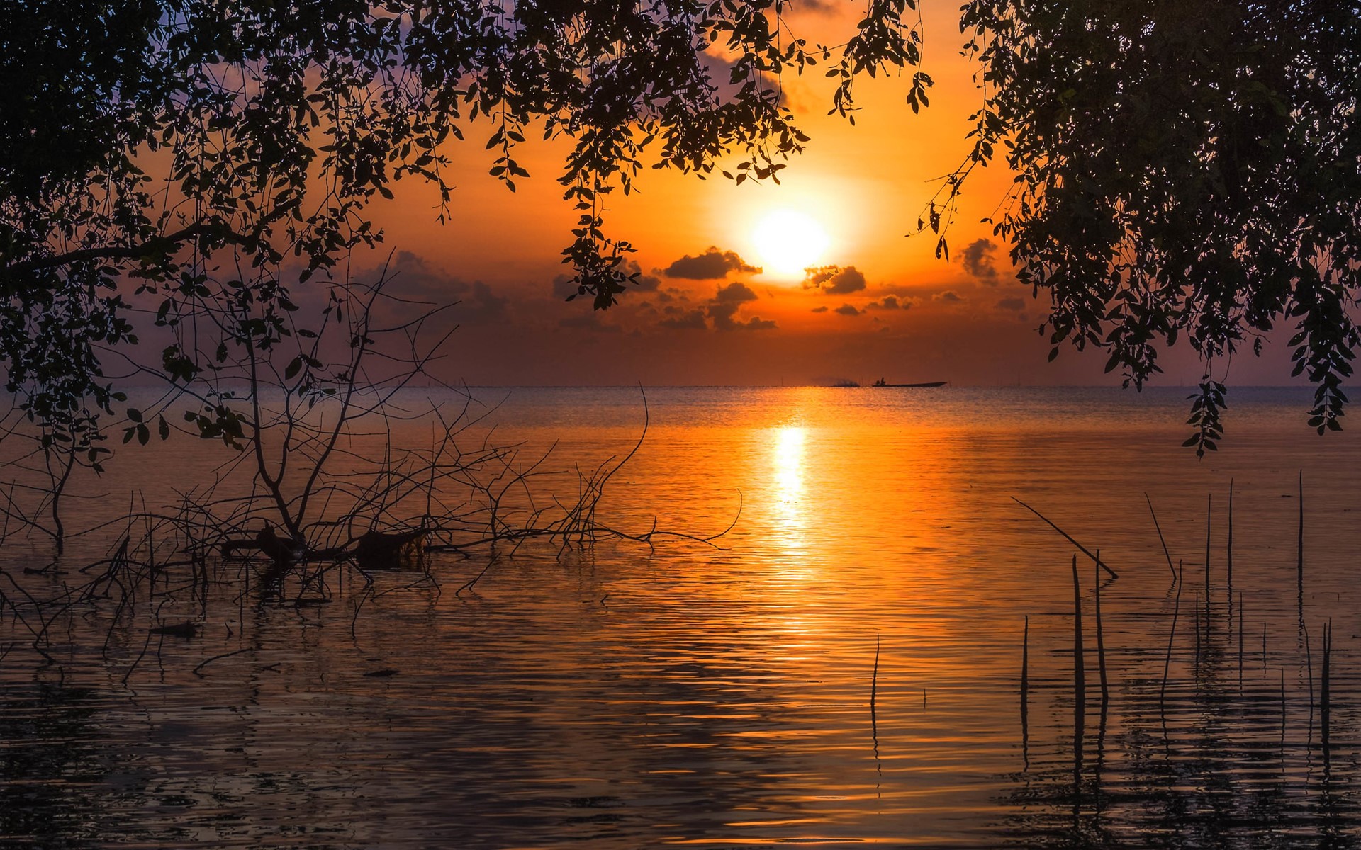 nature, lake, sunset, silhouette, HD Wallpaper
