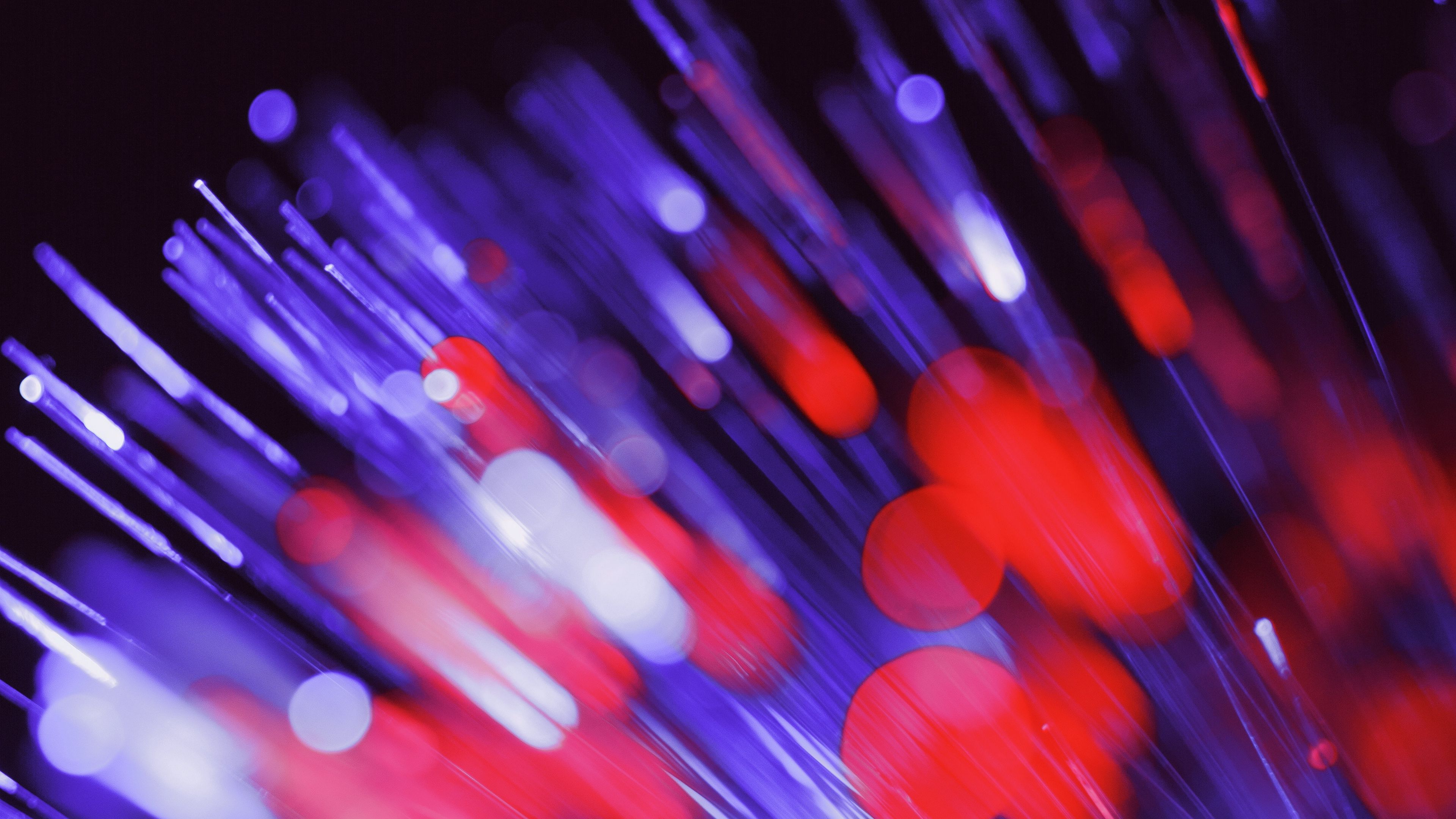 optical fiber, glare, bokeh, shine, 4k, HD Wallpaper