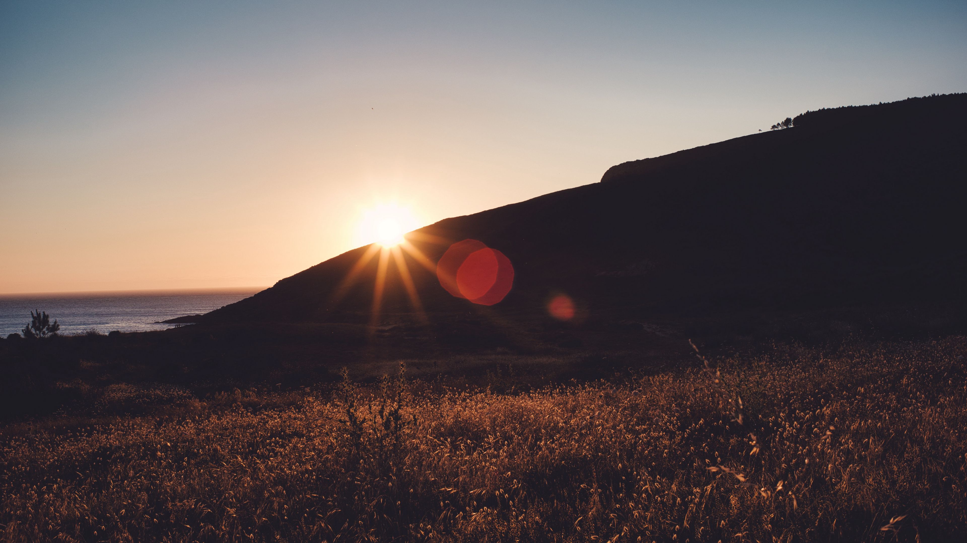 grass, horizon, sunset, sky, landscape, 4k, HD Wallpaper