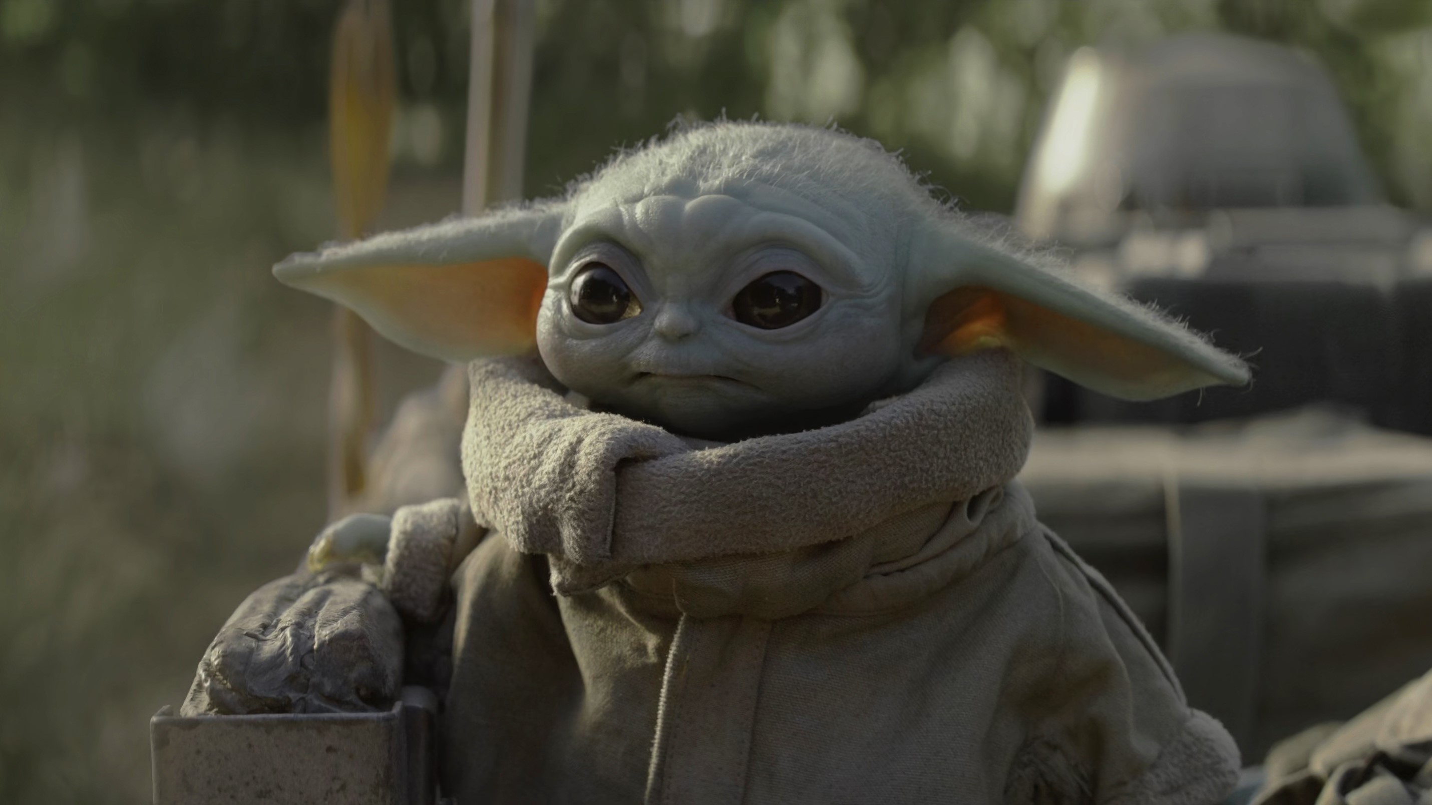 The Mandalorian, Baby Yoda, Star Wars, HD Wallpaper