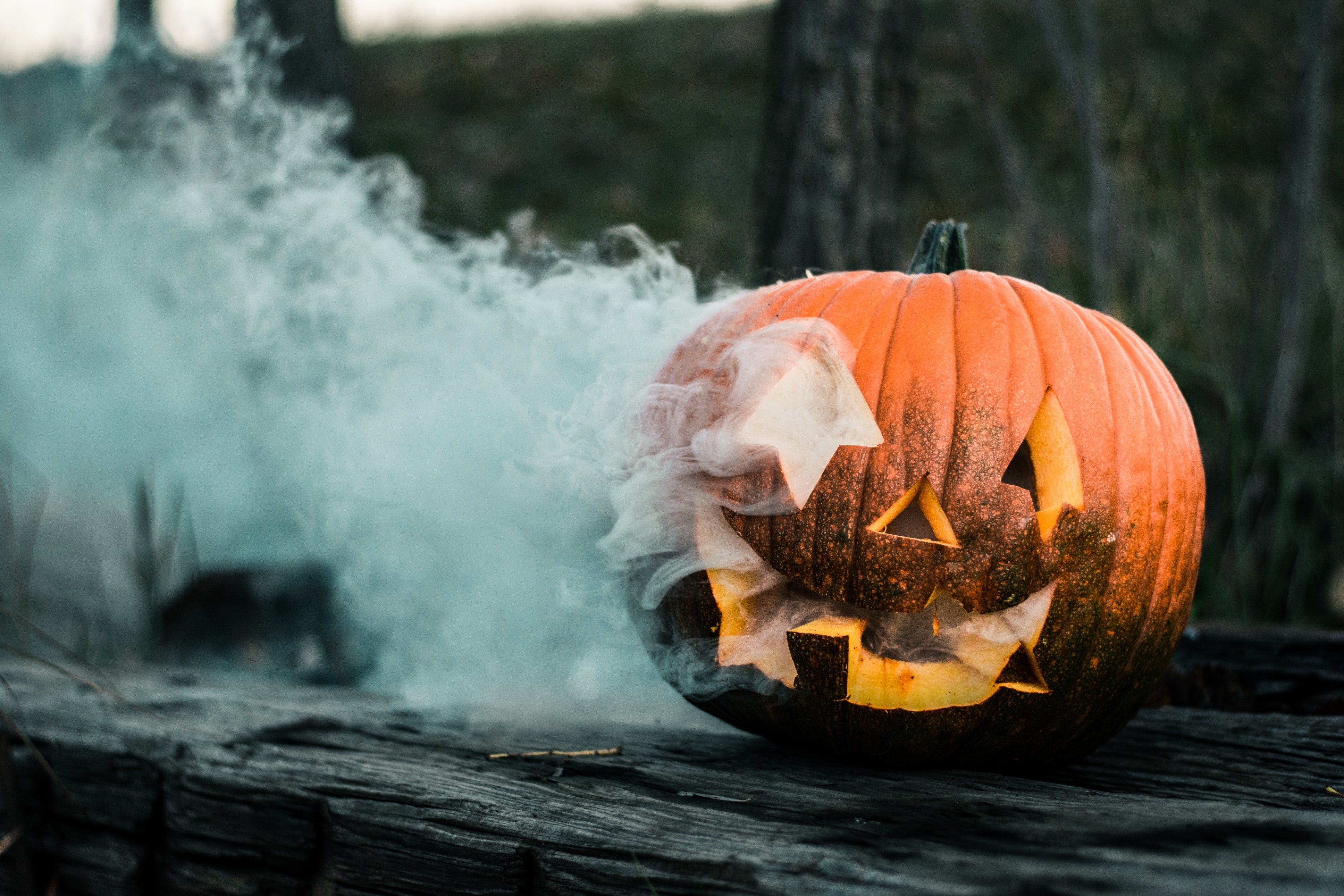 pumpkin, smoke, Halloween, wood, trees, bokeh, Smile, natural light, outdoors, colorful, HD Wallpaper