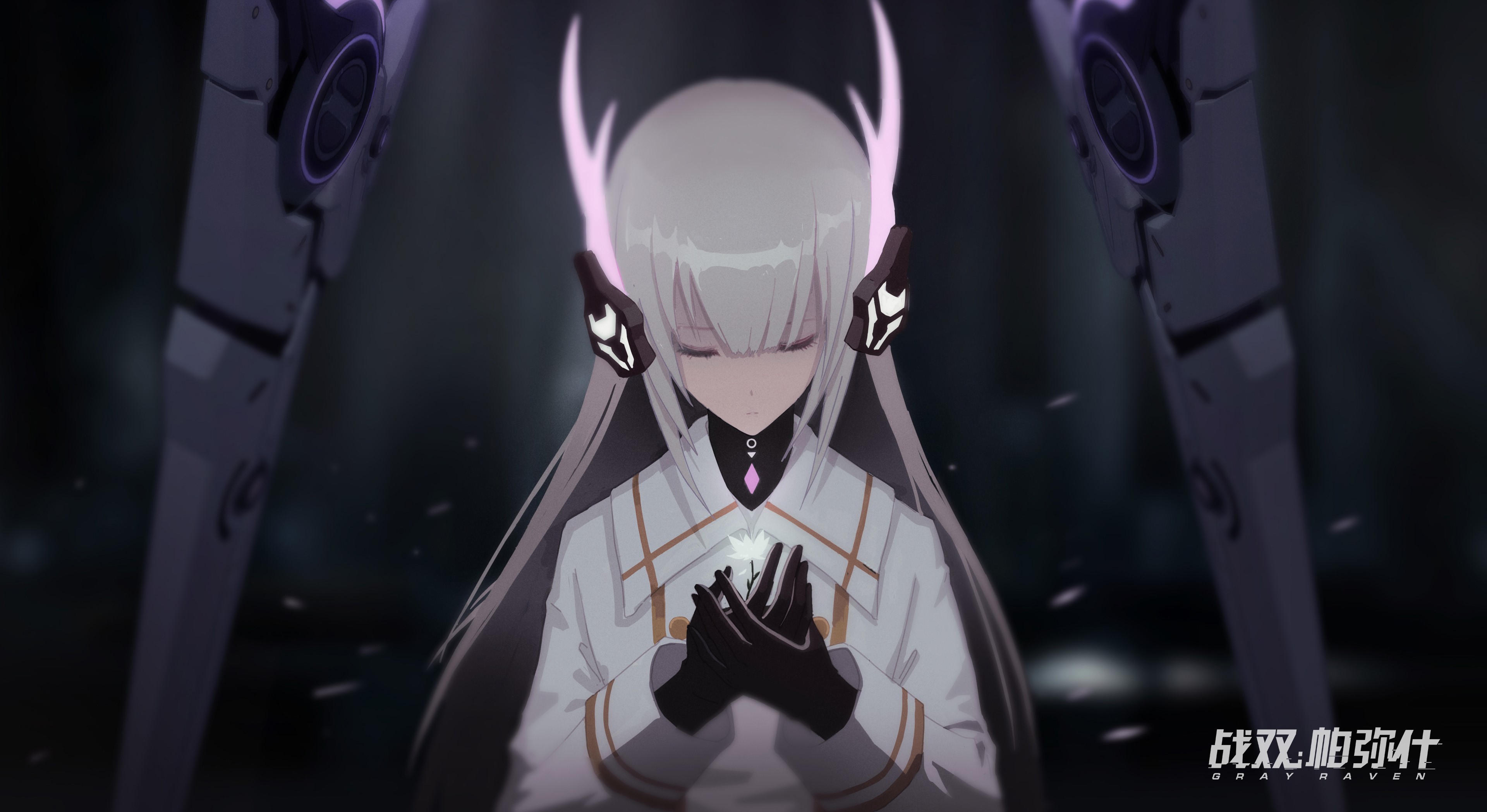 Gray Raven, PUNISHING, HD Wallpaper