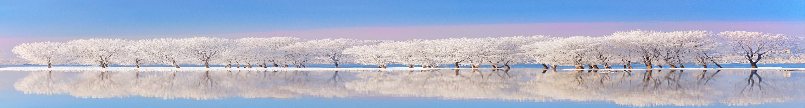 nature, landscape, water, trees, snow, cold, daylight, white, reflection, HD Wallpaper