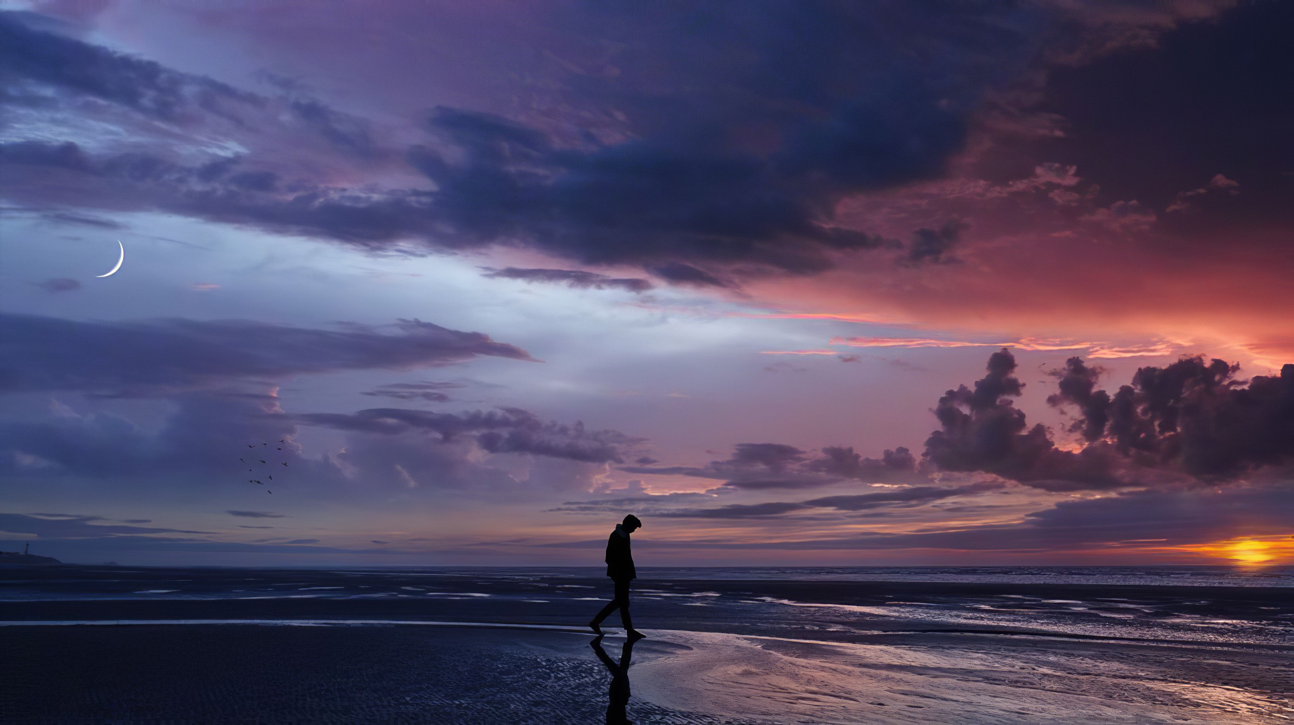 beach, alone, clouds, sea, water, Moon, sunset, walking, sky, nature, HD Wallpaper
