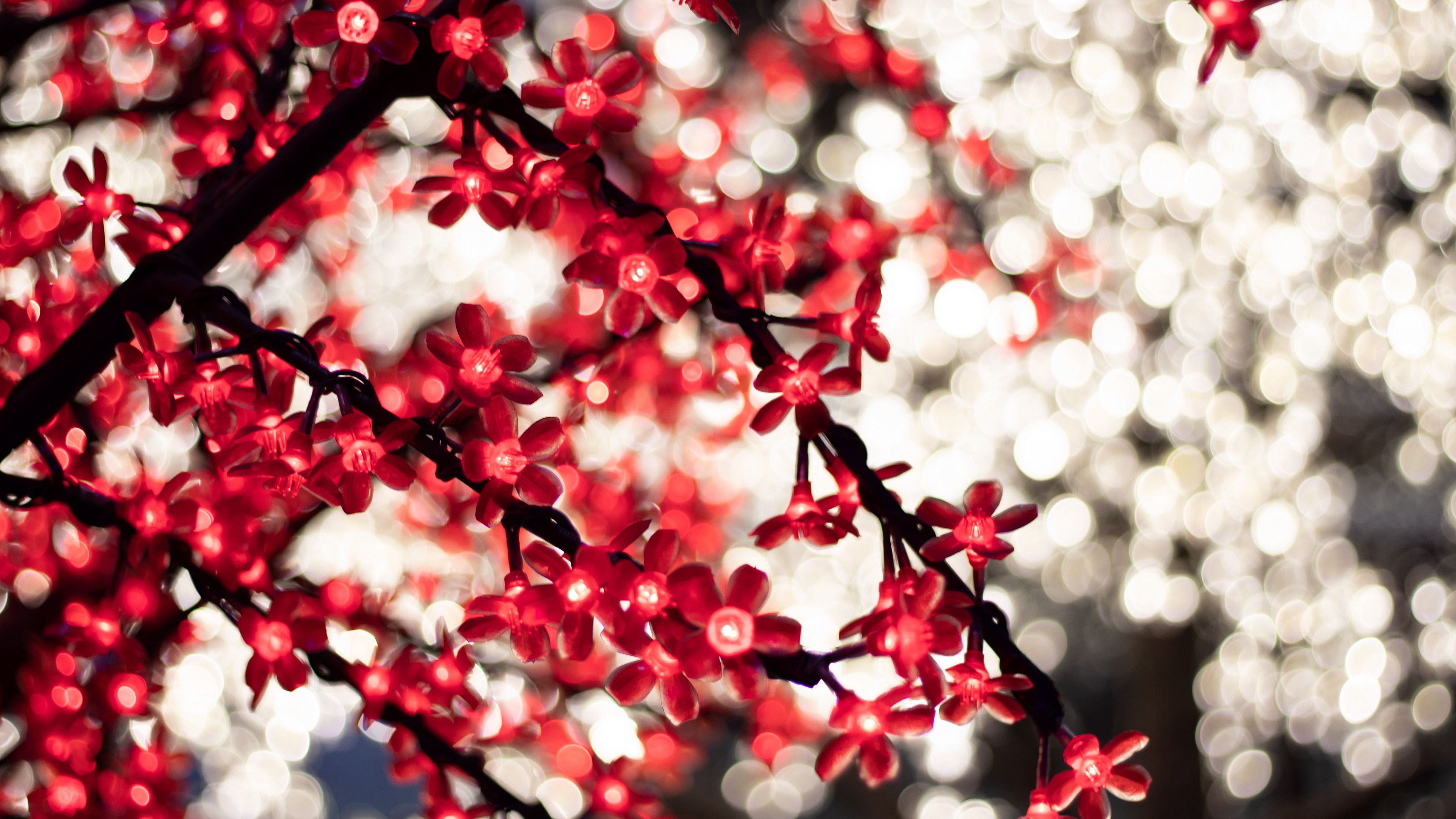 garland, glare, bokeh, flowers, 4k, HD Wallpaper