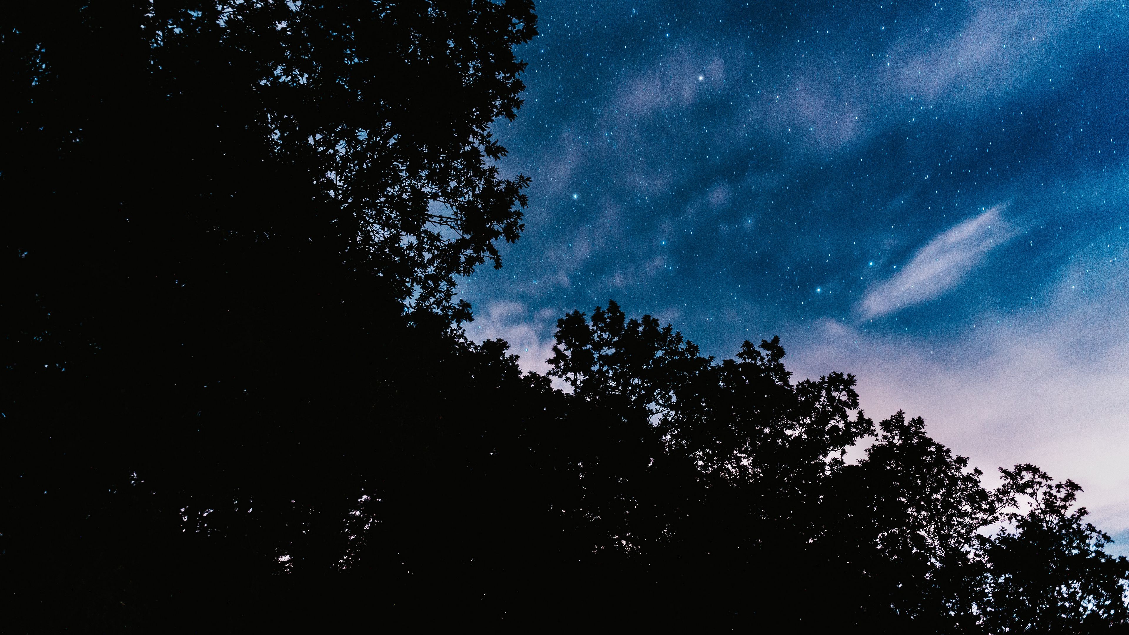 starry sky, trees, night, stars, clouds, dark, 4k, HD Wallpaper