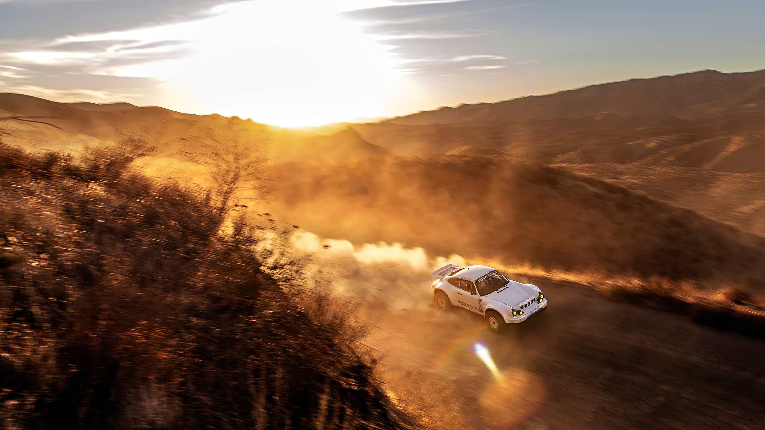 Porsche 911 Carrera, rally cars, desert, dust, car, HD Wallpaper