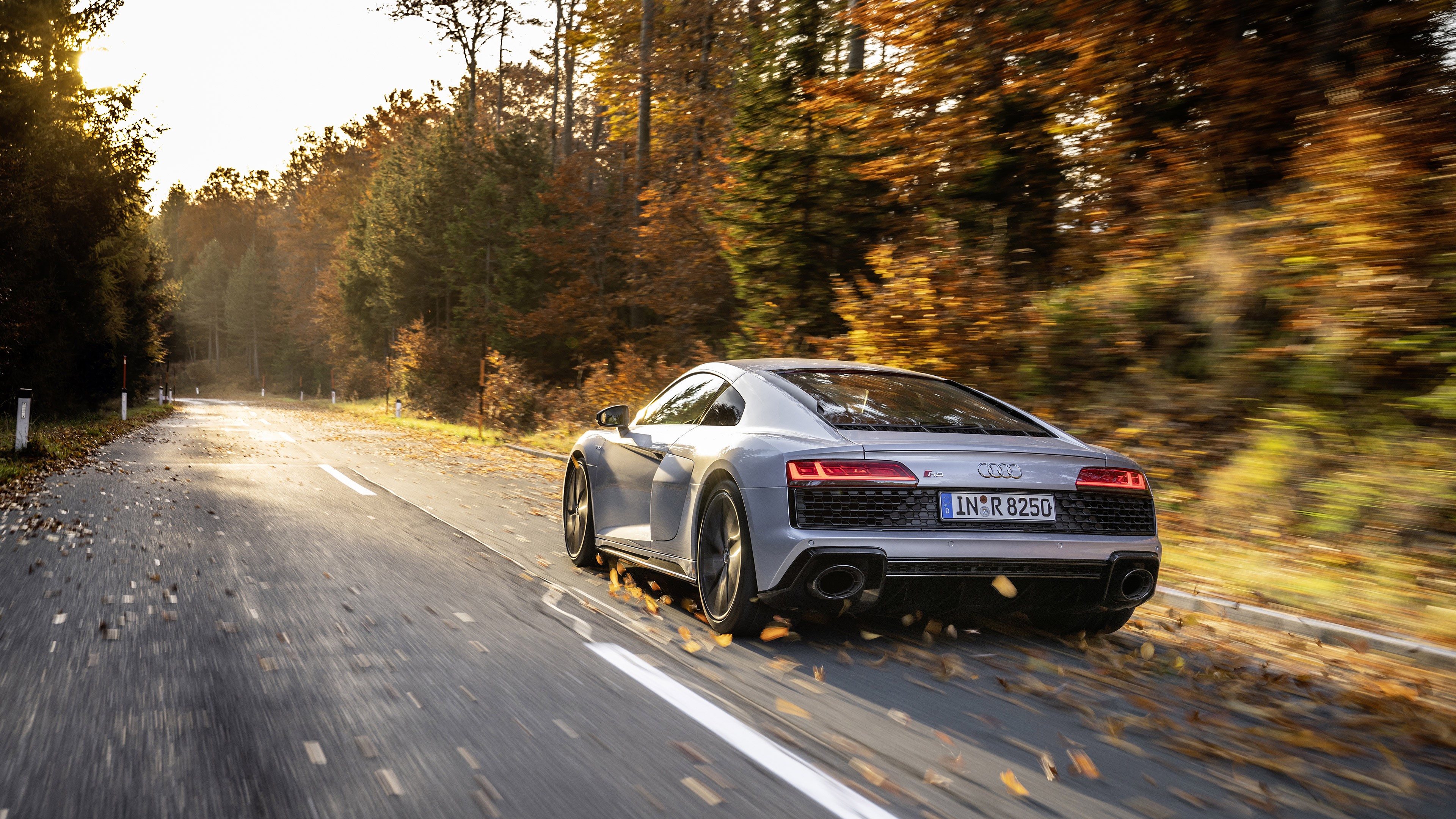 Audi R8 V10, car, vehicle, road, motion blur, forest, Audi R8 Type 4S, HD Wallpaper