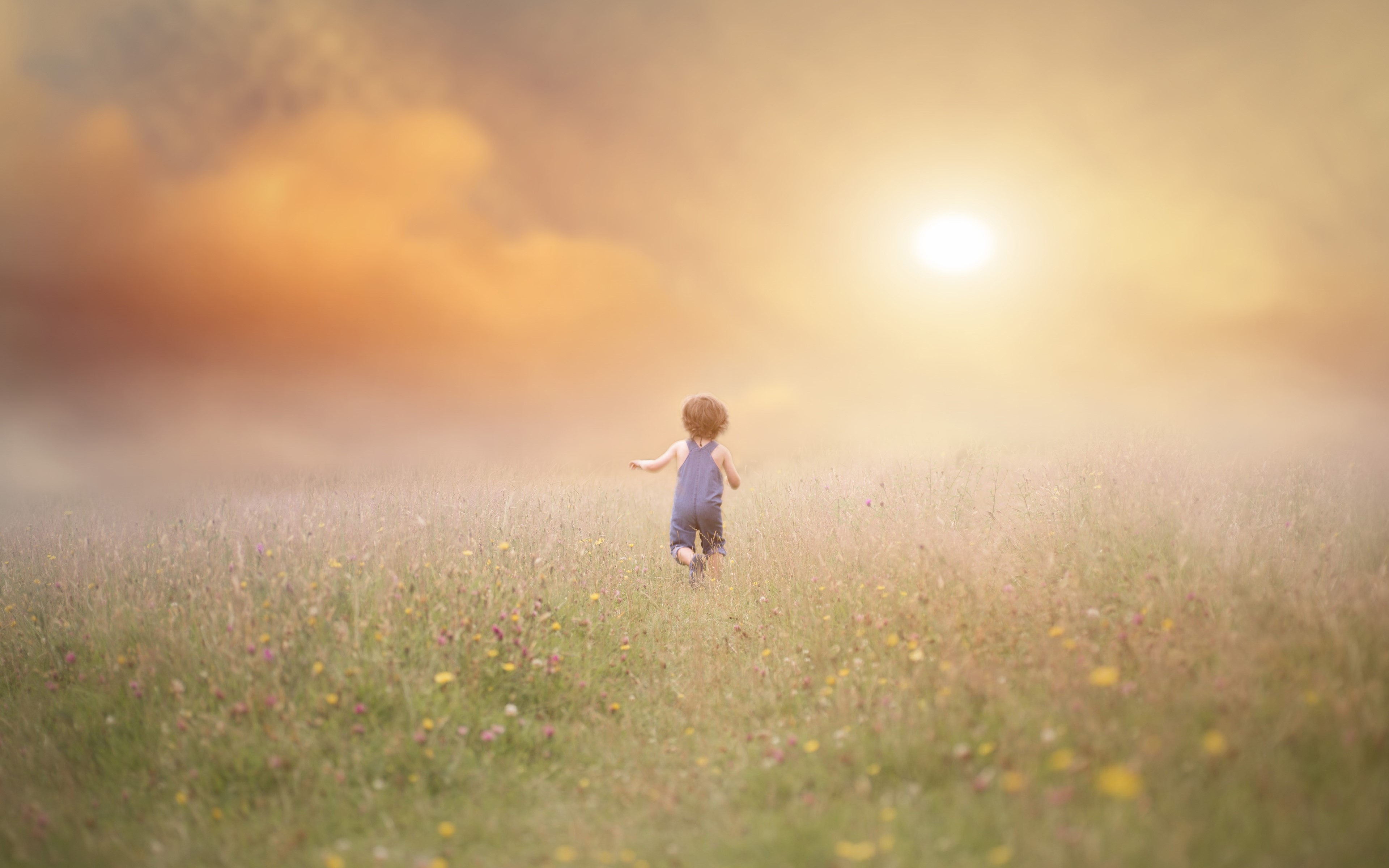children, field, flowers, outdoors, plants, HD Wallpaper