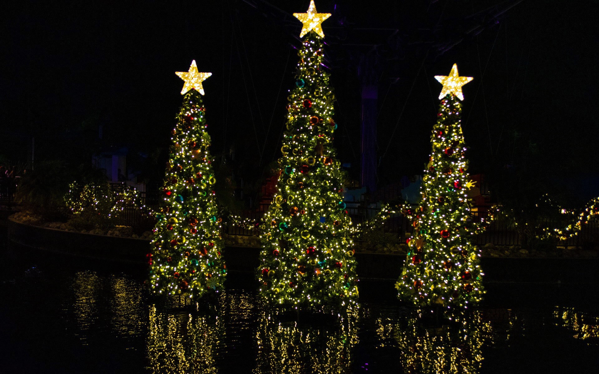 Christmas ornaments, Christmas Tree, night, reflection, HD Wallpaper