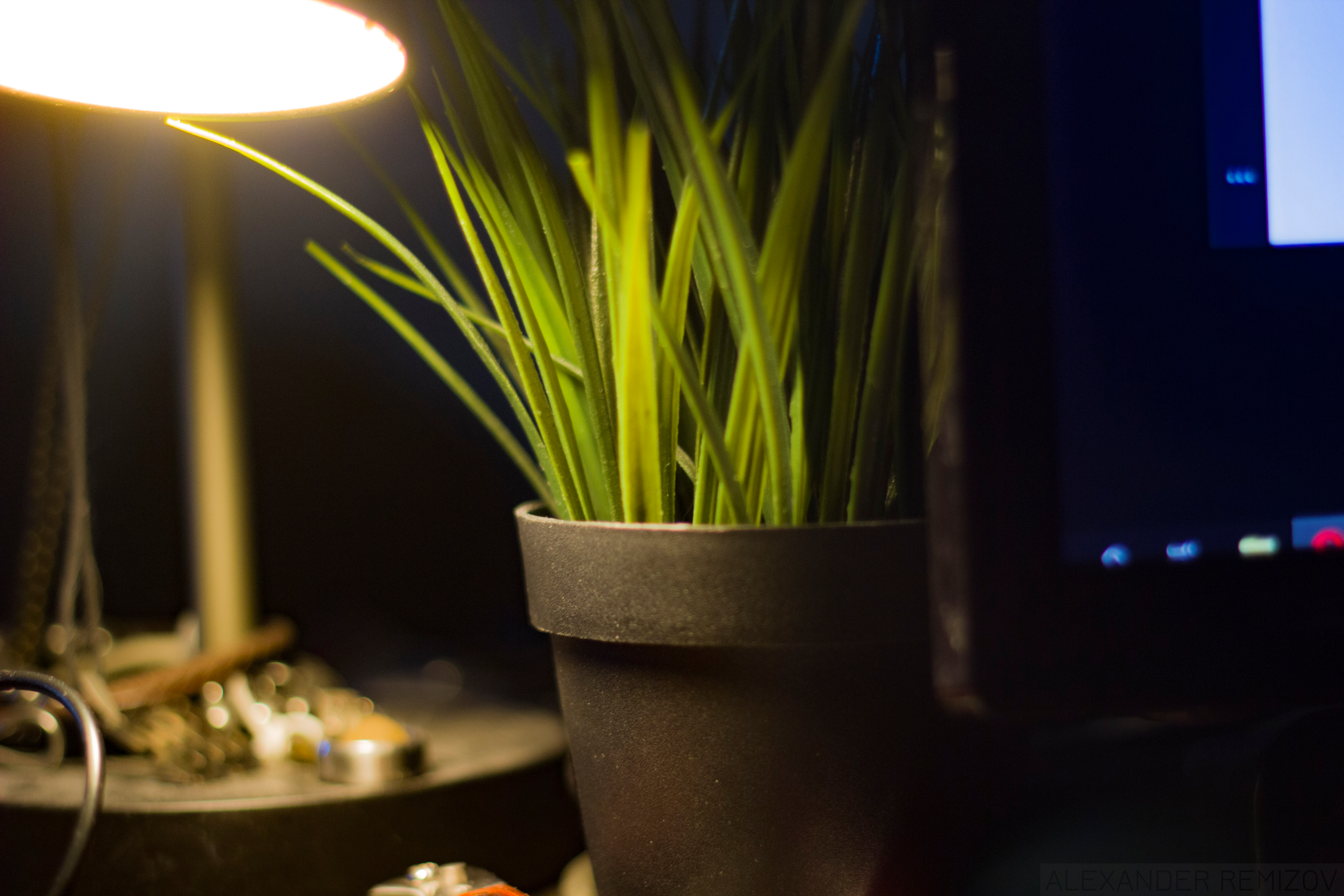 grass, dark, lamp, HD Wallpaper