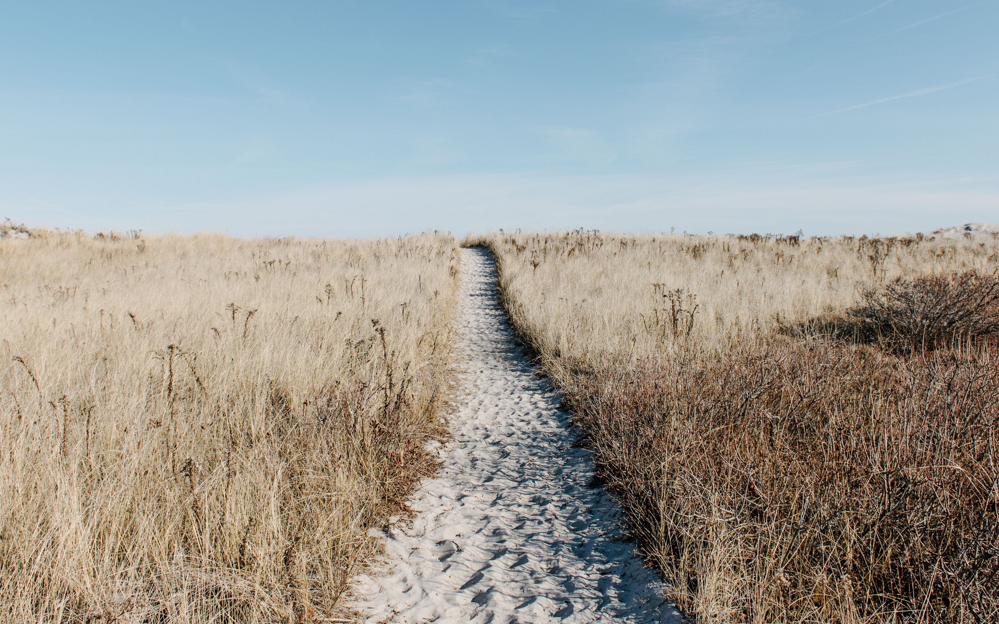 outdoors, grass, pathway, HD Wallpaper
