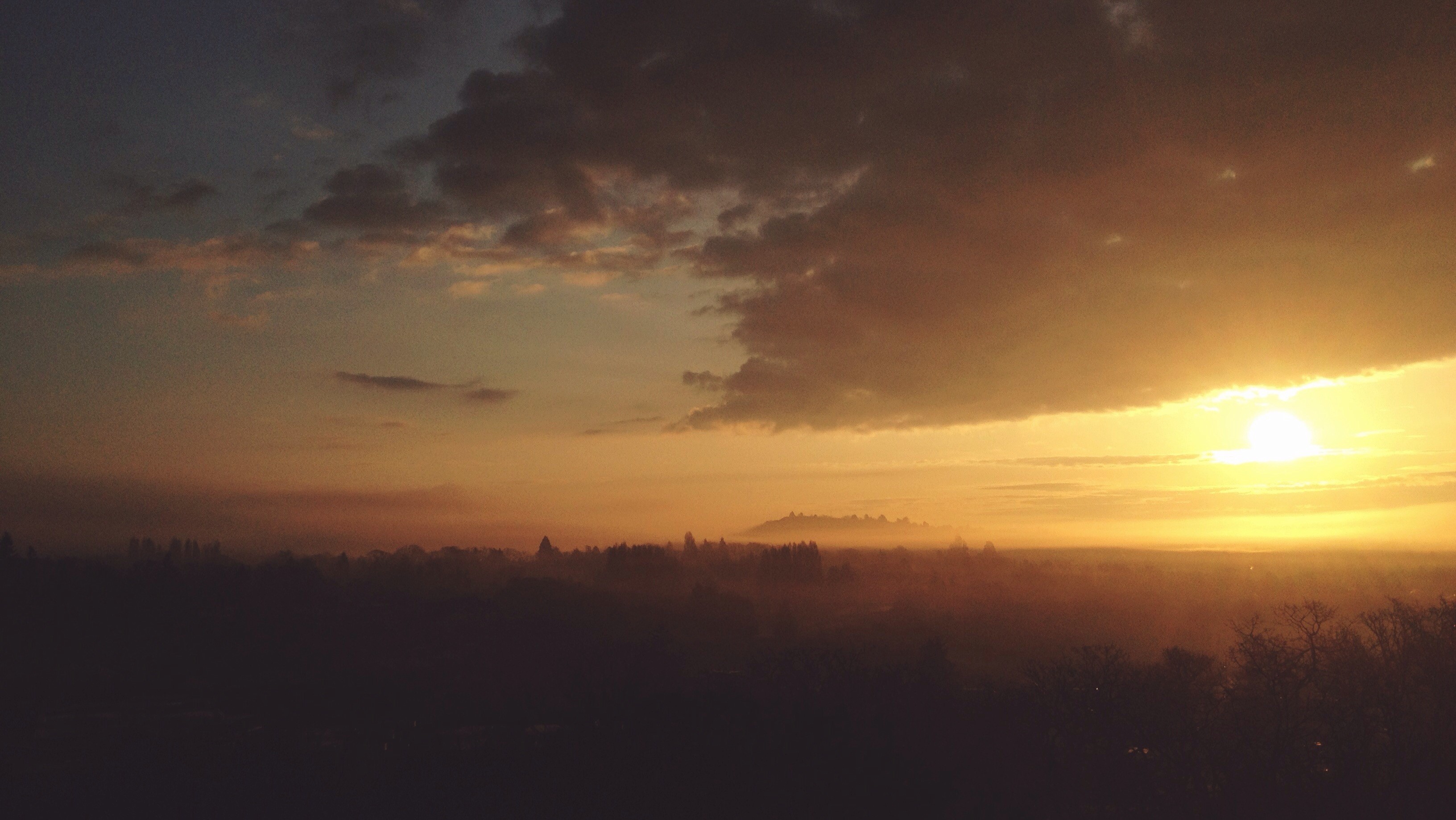 landscape, trees, nature, Sun, morning, sunlight, sunrise, HD Wallpaper