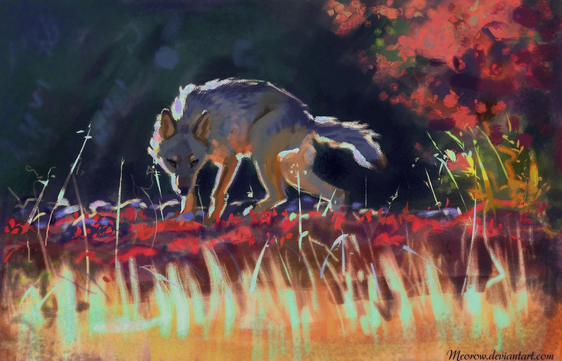 nature, artwork, animals, wolf, mammals, HD Wallpaper