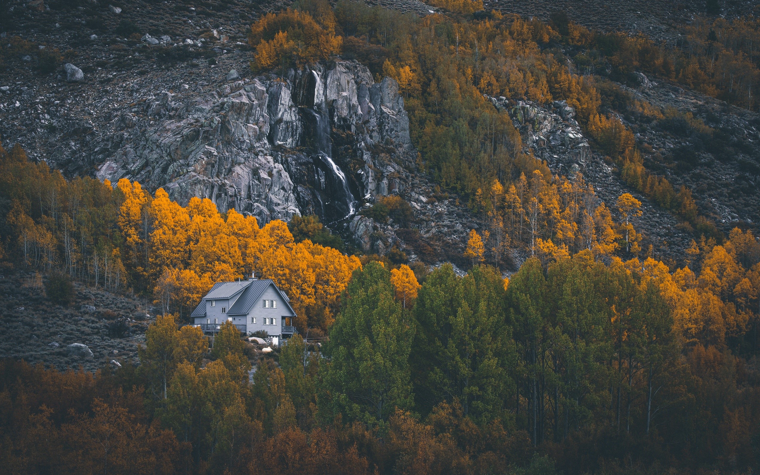trees, nature, house, building, fall, HD Wallpaper