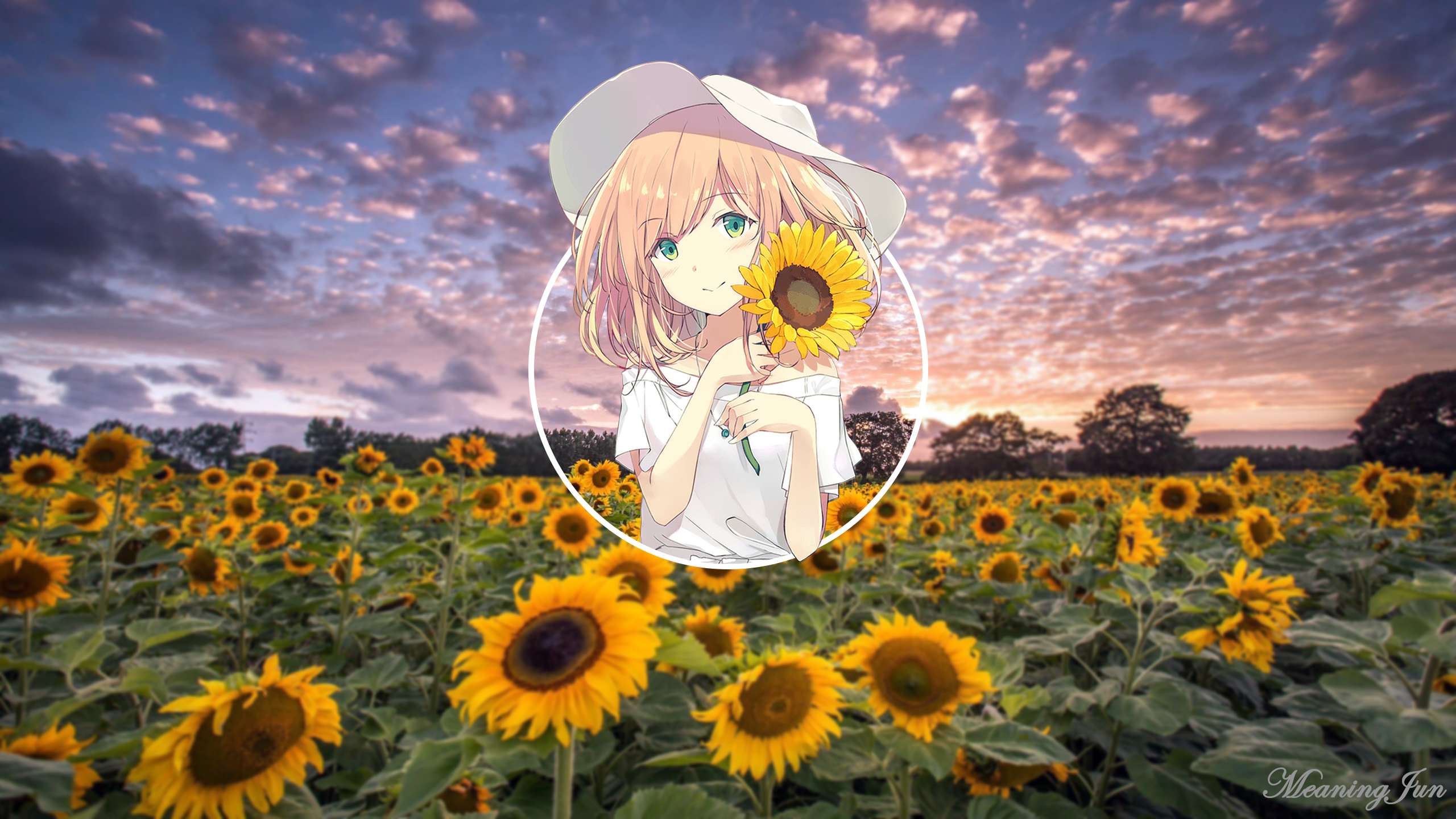 2D, anime girls, anime, picture-in-picture, MeaningJun, sunflowers, sunset, HD Wallpaper