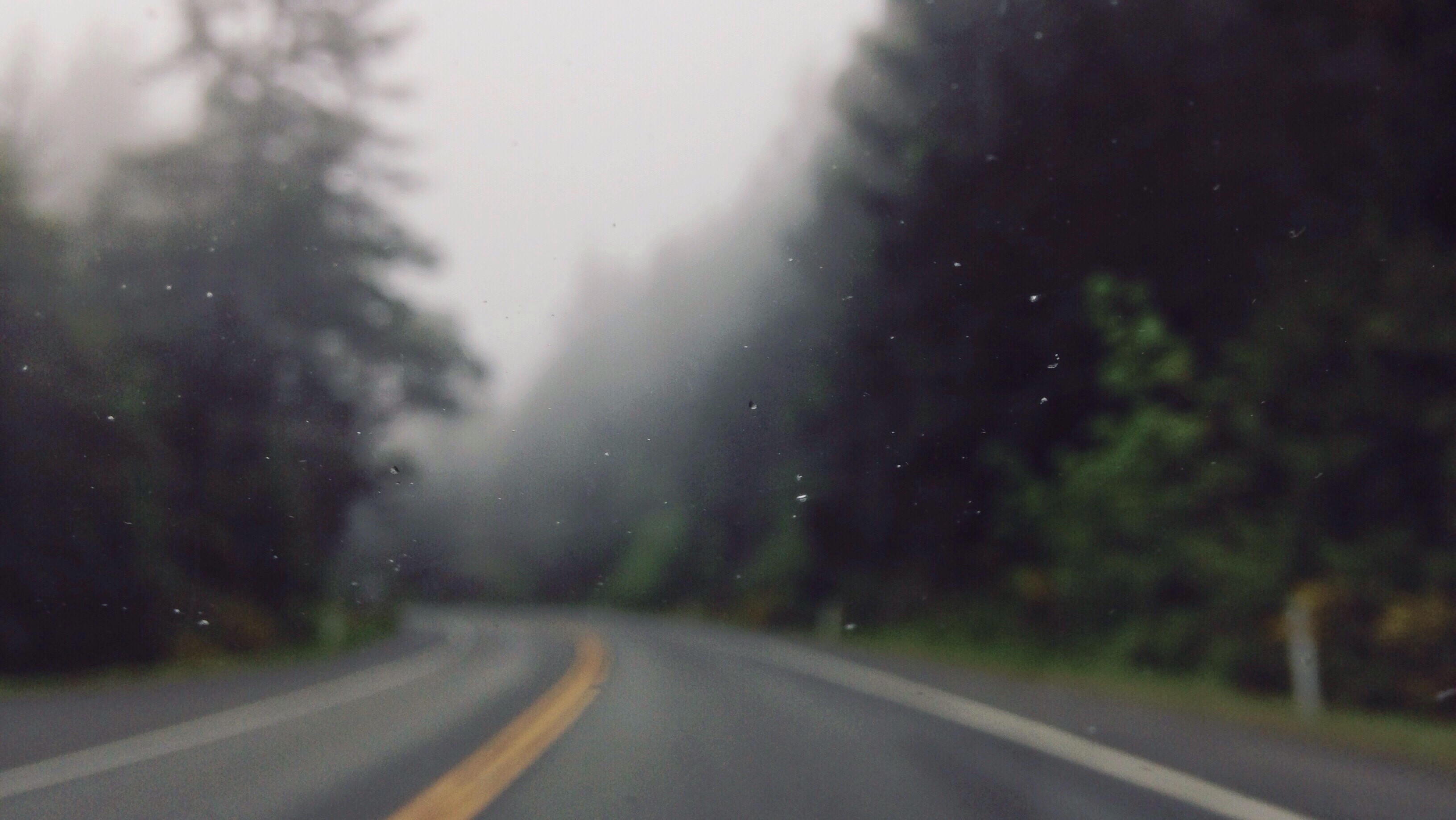 nature, window, road, water drops, HD Wallpaper