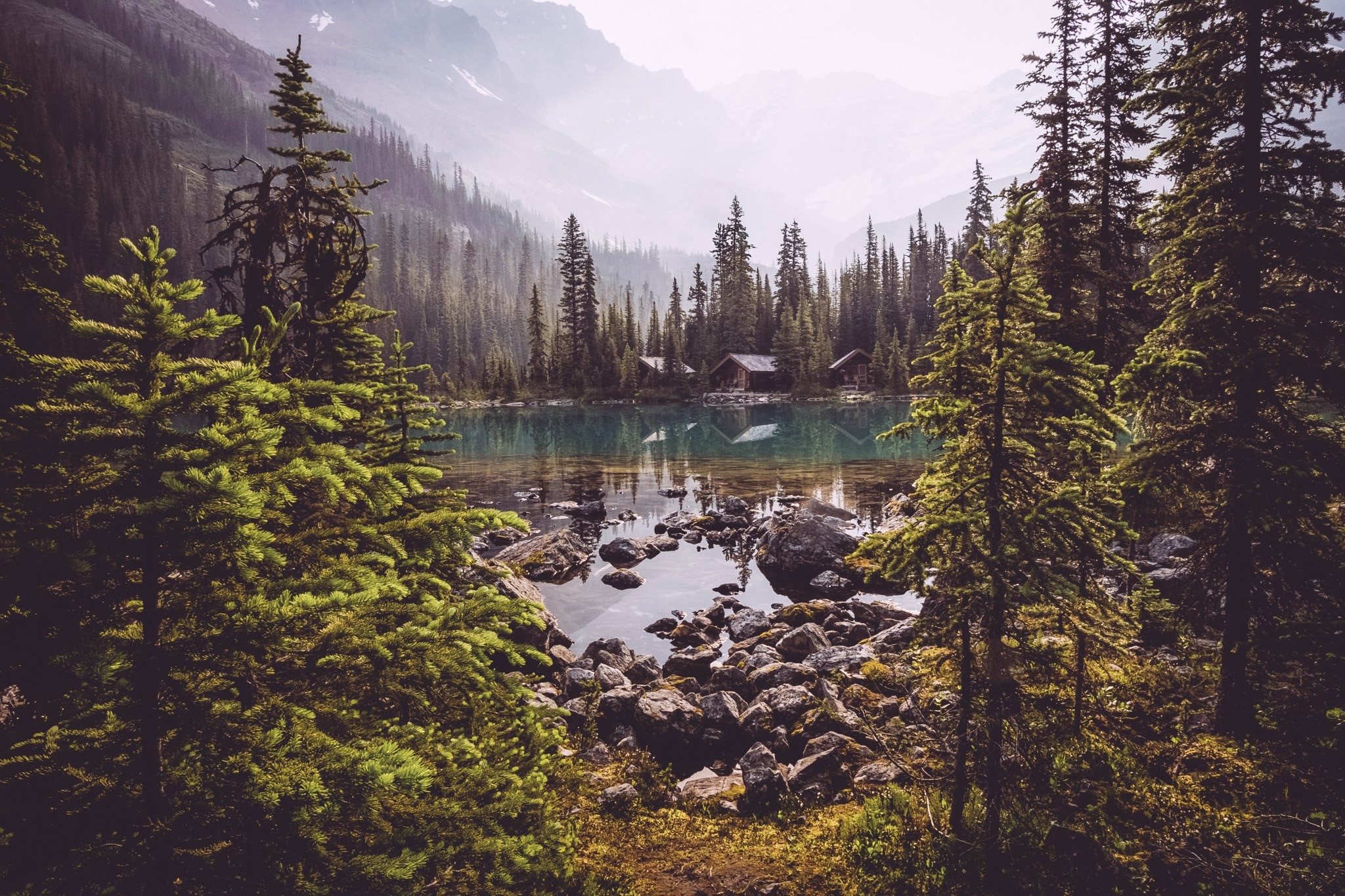 nature, trees, landscape, water, lake, forest, HD Wallpaper