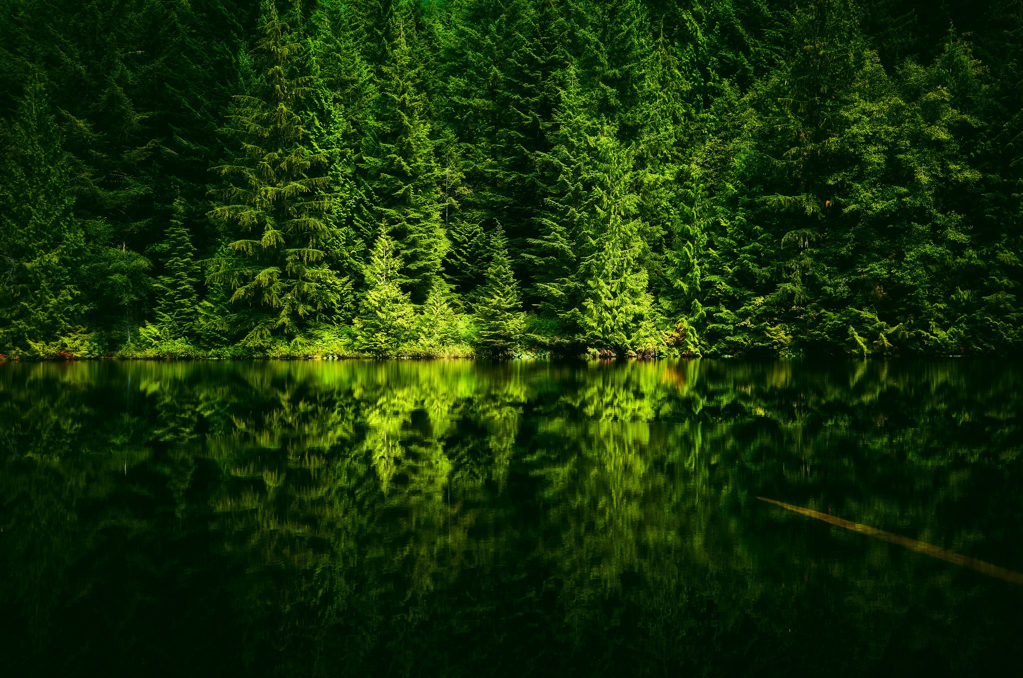 nature, trees, water, lake, shoreline, forest, HD Wallpaper