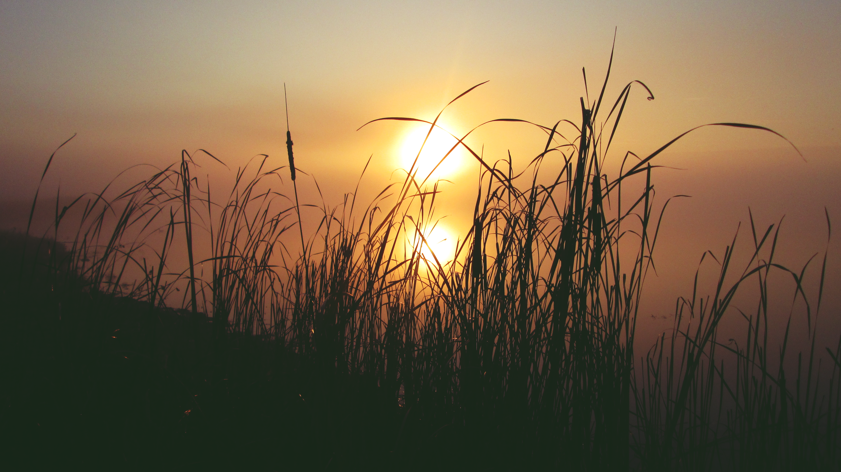 nature, Sun, sunlight, lake, river, water, HD Wallpaper
