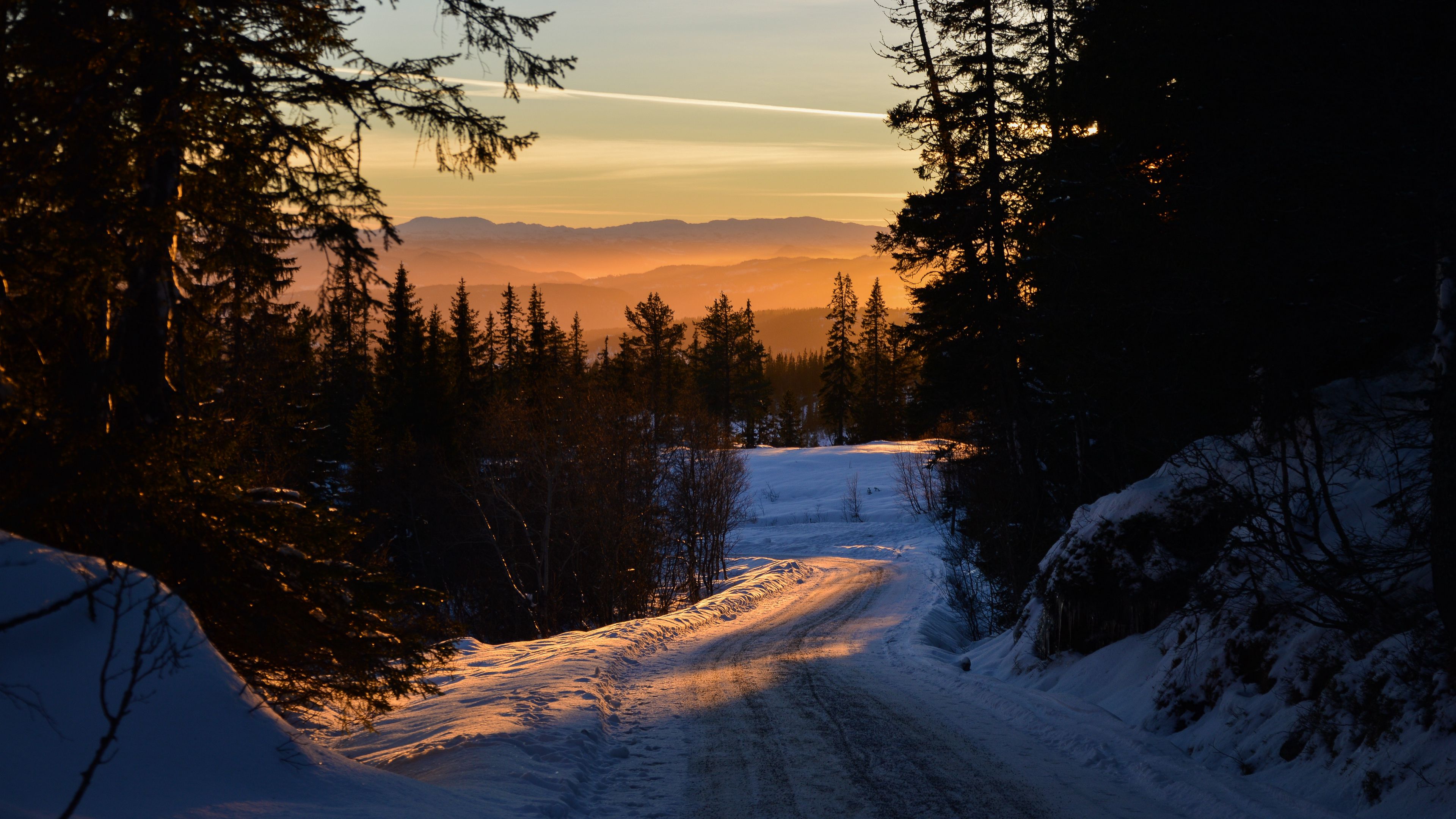 forest, winter, sunset, road, trees, sky, 4k, HD Wallpaper