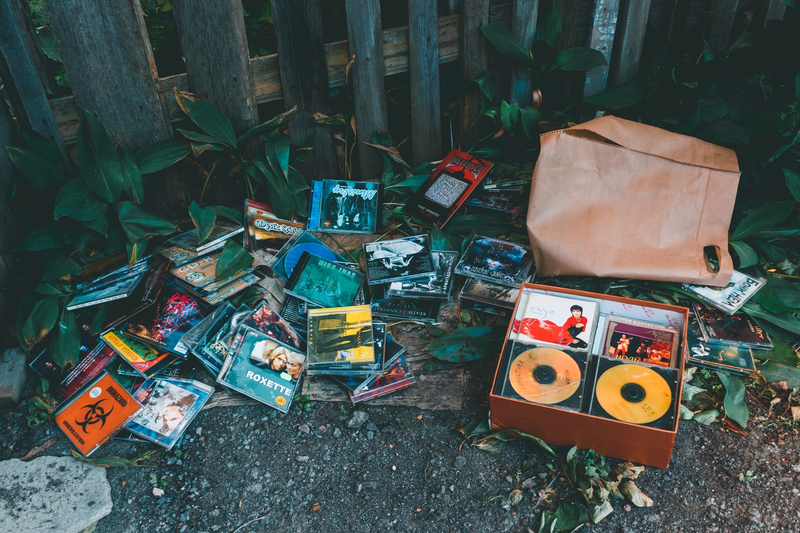 discs, abandoned, compact disc, outdoors, leaves, HD Wallpaper
