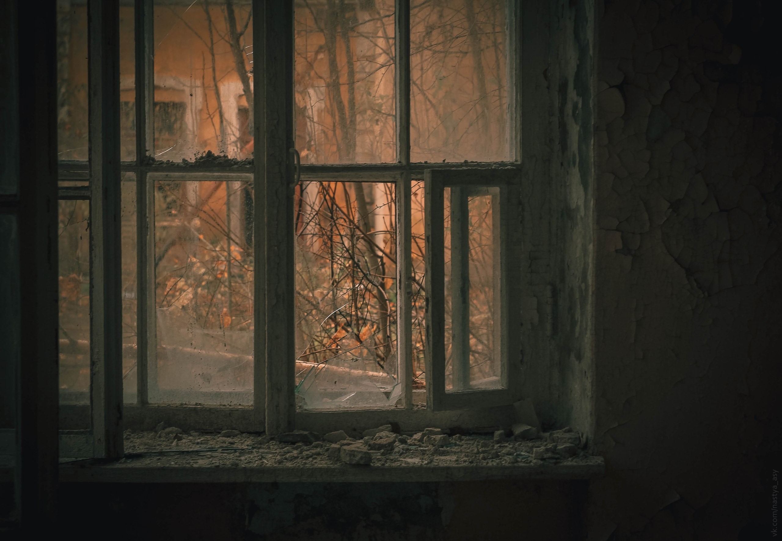 nature, fall, foliage, trees, house, abandoned, ruin, old, window, HD Wallpaper