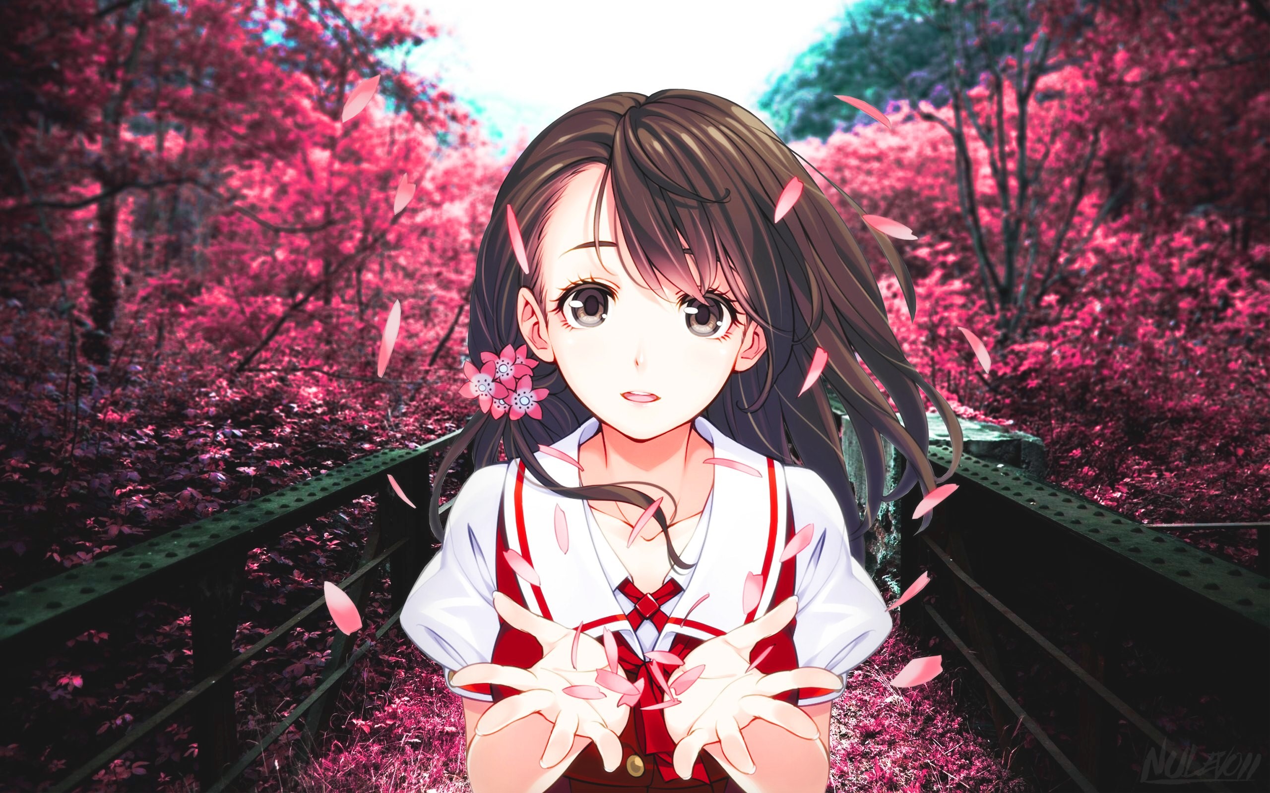 anime, anime girls, picture-in-picture, Sakura blossom, HD Wallpaper