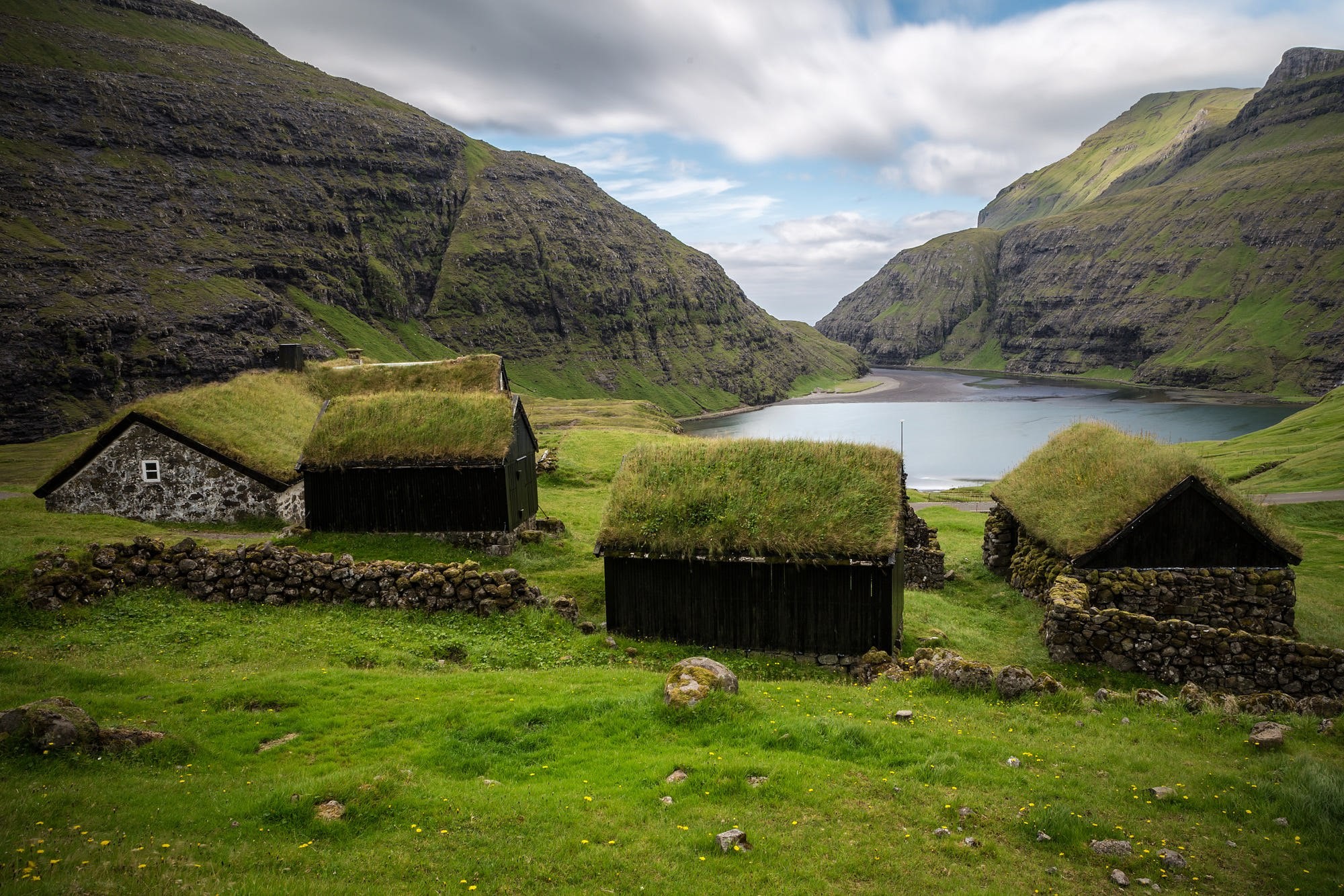 nature, house, old building, abandoned, village, grass, outdoors, HD Wallpaper